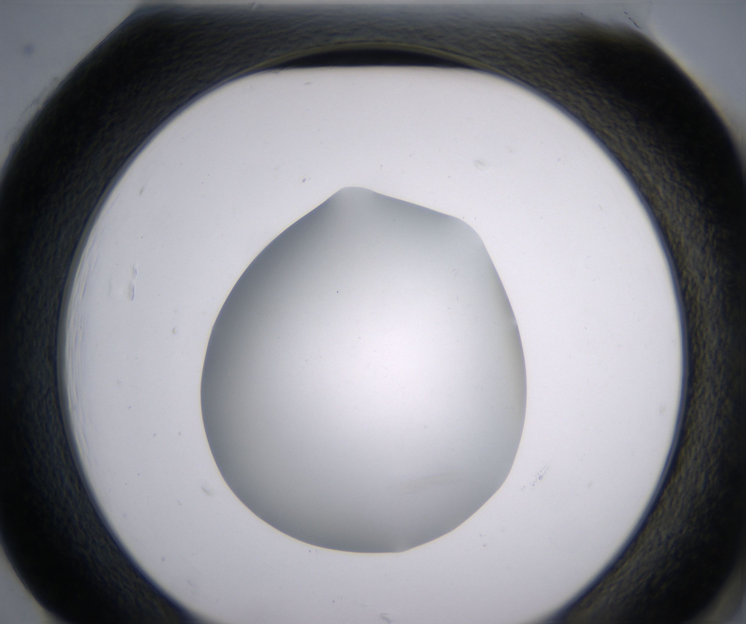 H1_HighResolution_Clear_2.jpg
