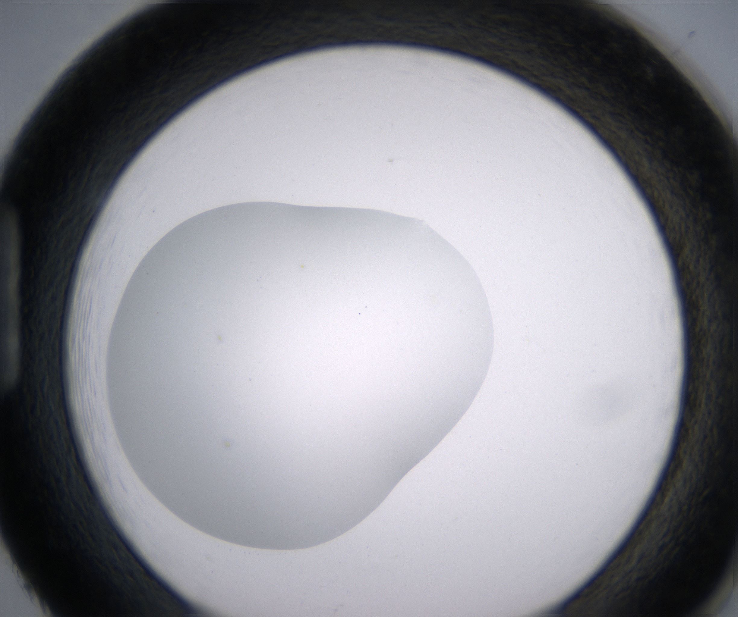 H2_HighResolution_Clear_1.jpg