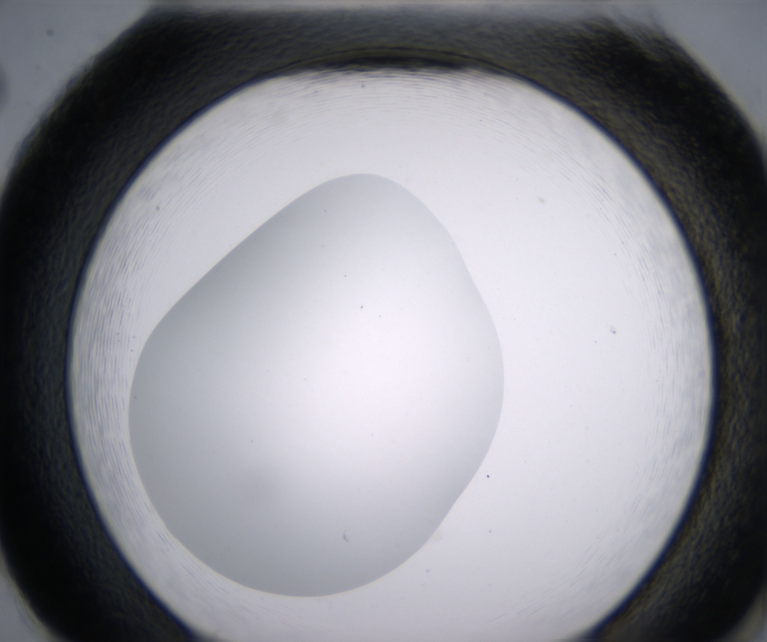 H2_HighResolution_Clear_2.jpg