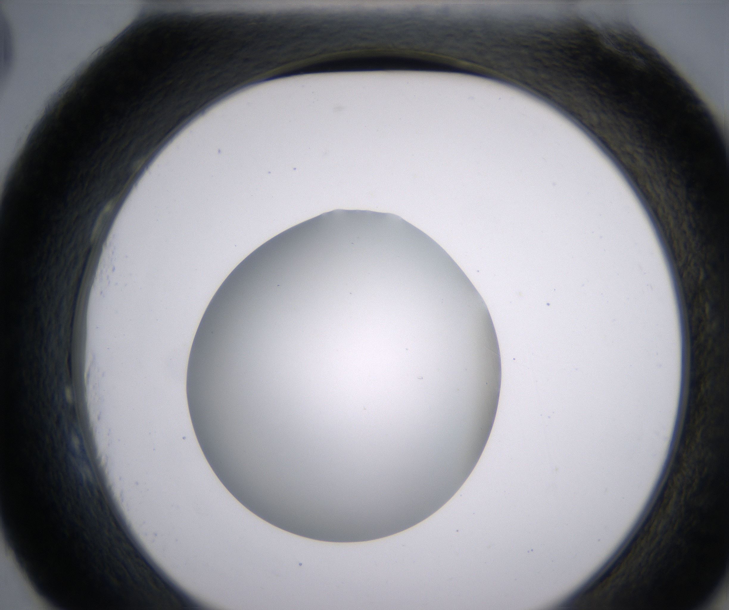H3_HighResolution_Clear_2.jpg