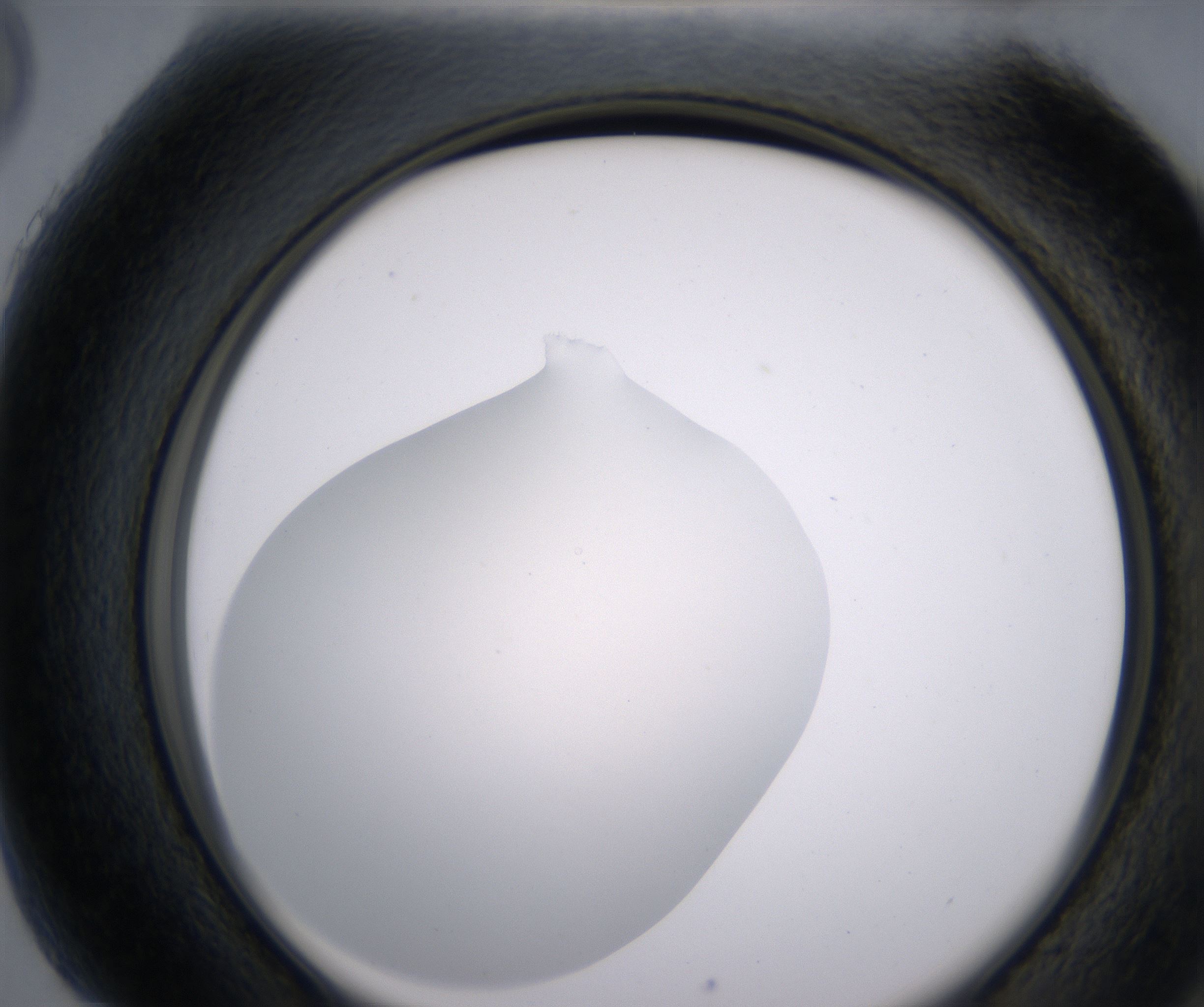 H5_HighResolution_Clear_2.jpg