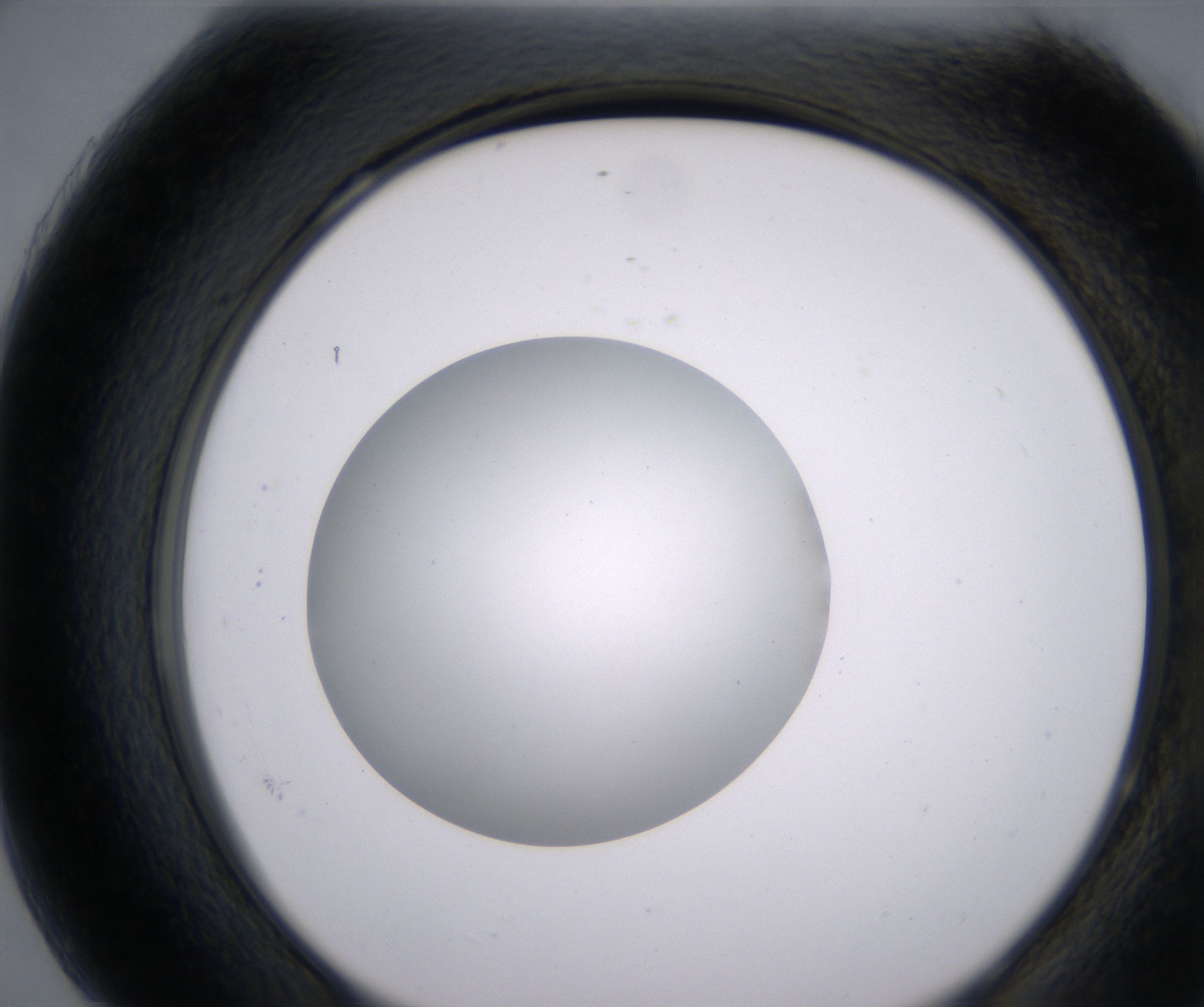 H7_HighResolution_Clear_2.jpg