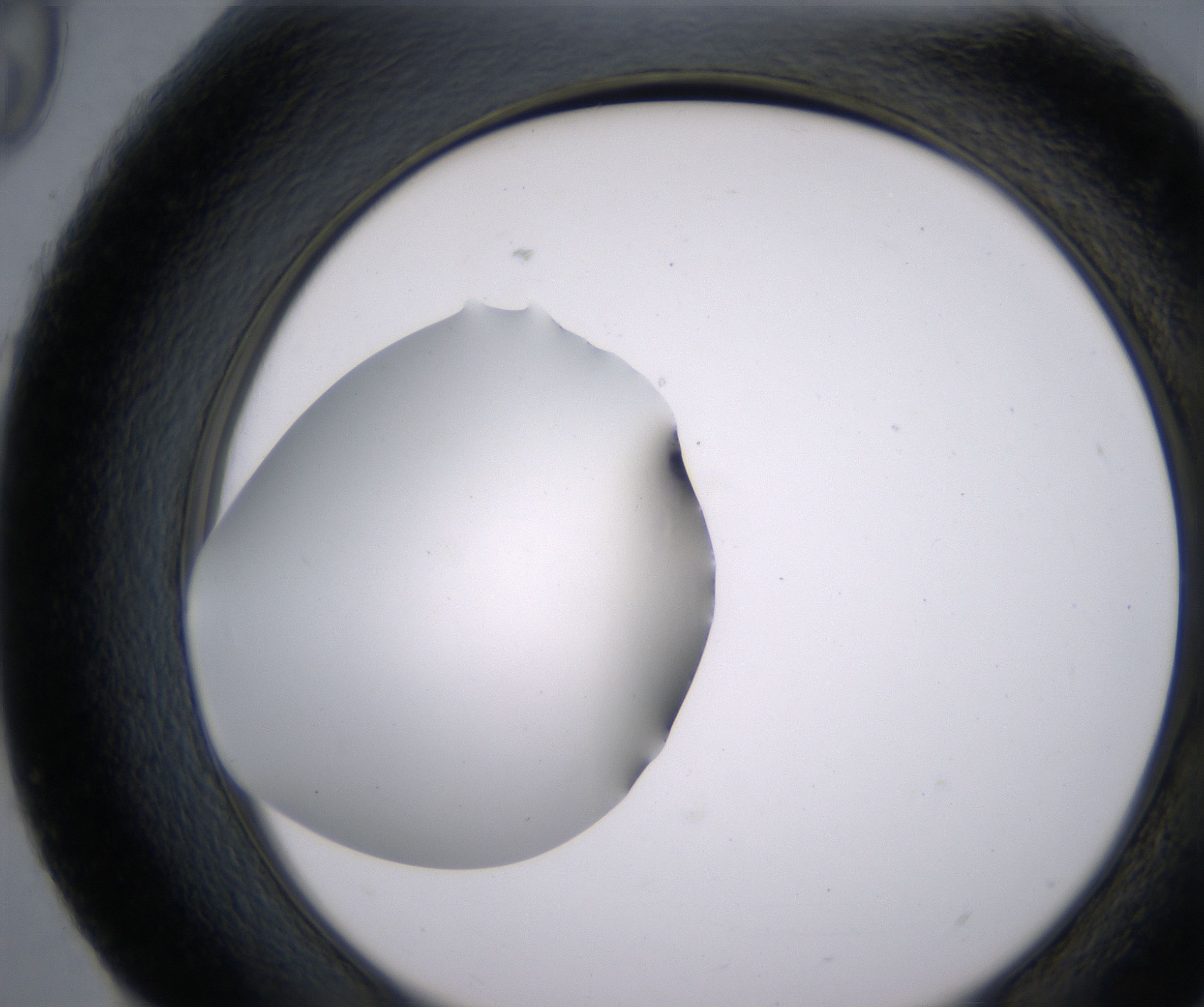 H9_HighResolution_Clear_2.jpg