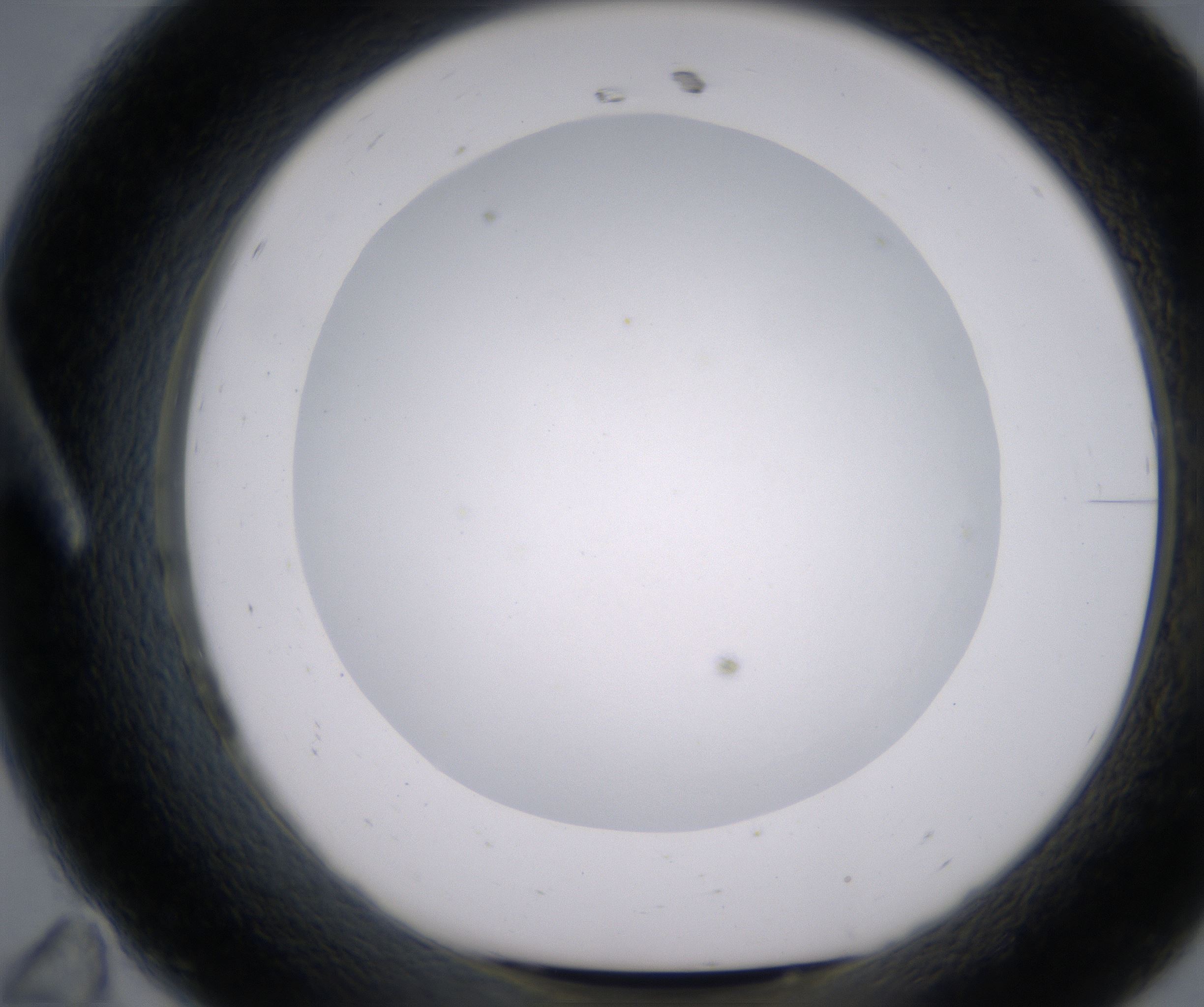 A11_HighResolution_Clear_1.jpg