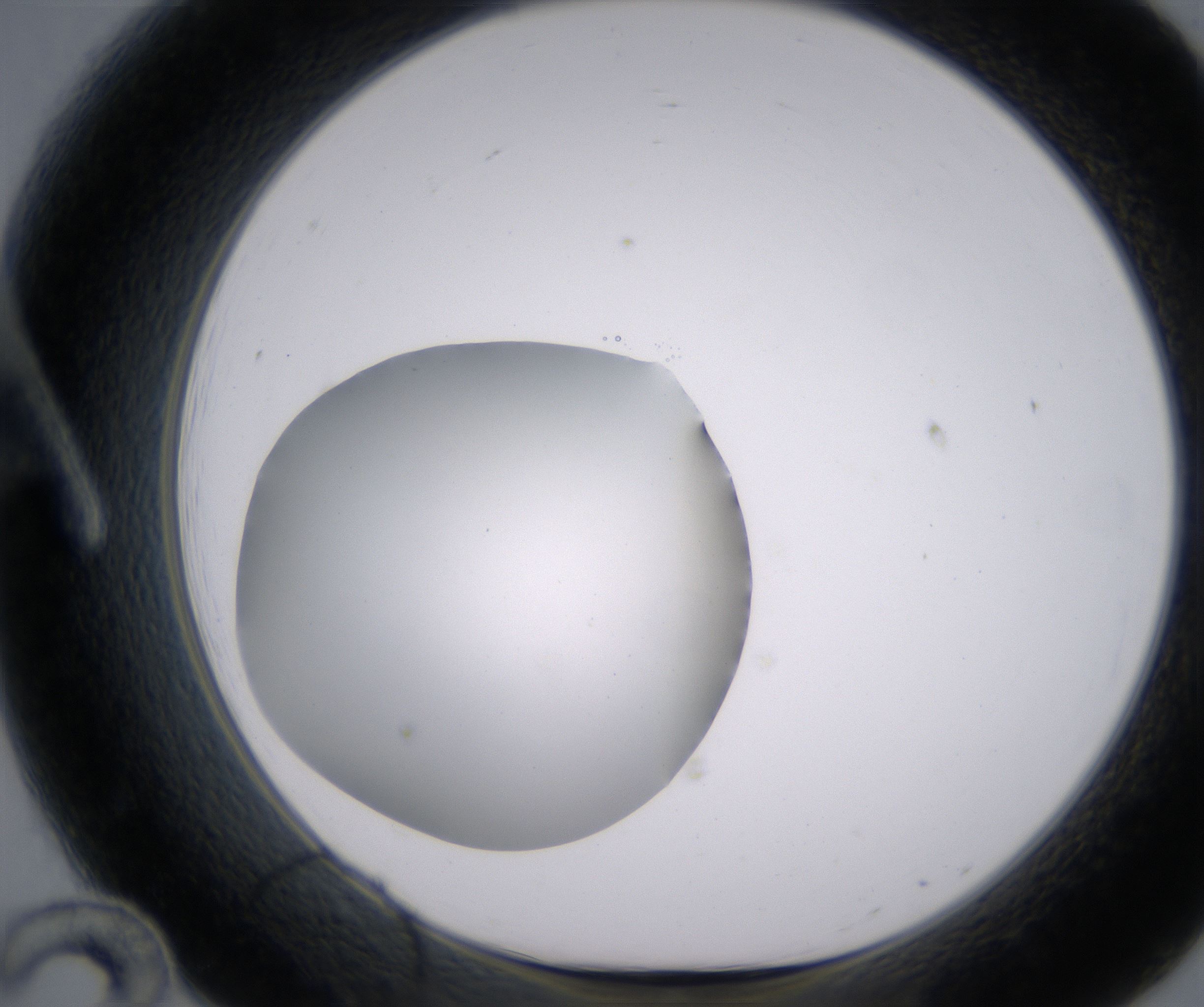 A12_HighResolution_Clear_1.jpg