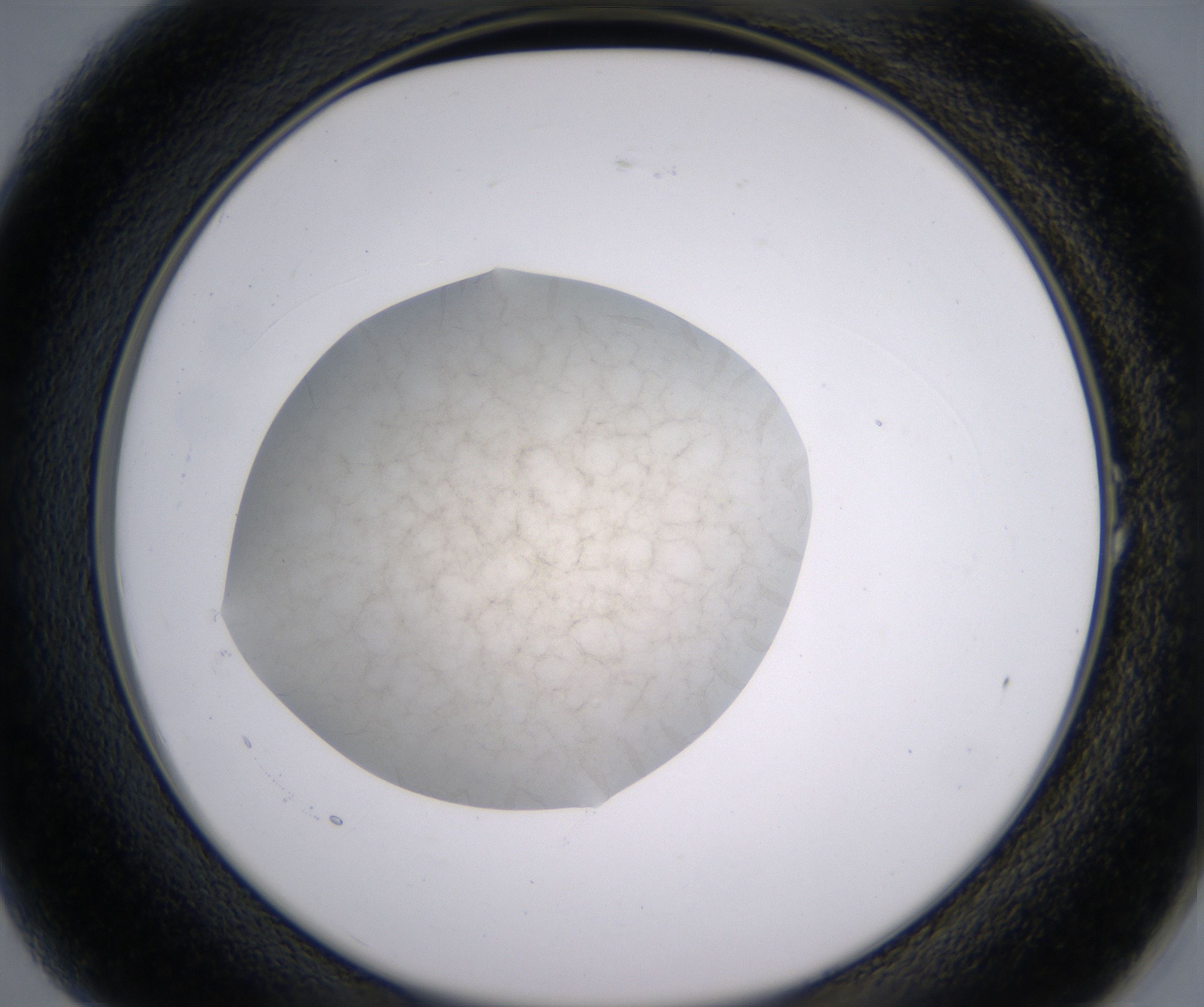 A1_HighResolution_Precipitate_2.jpg