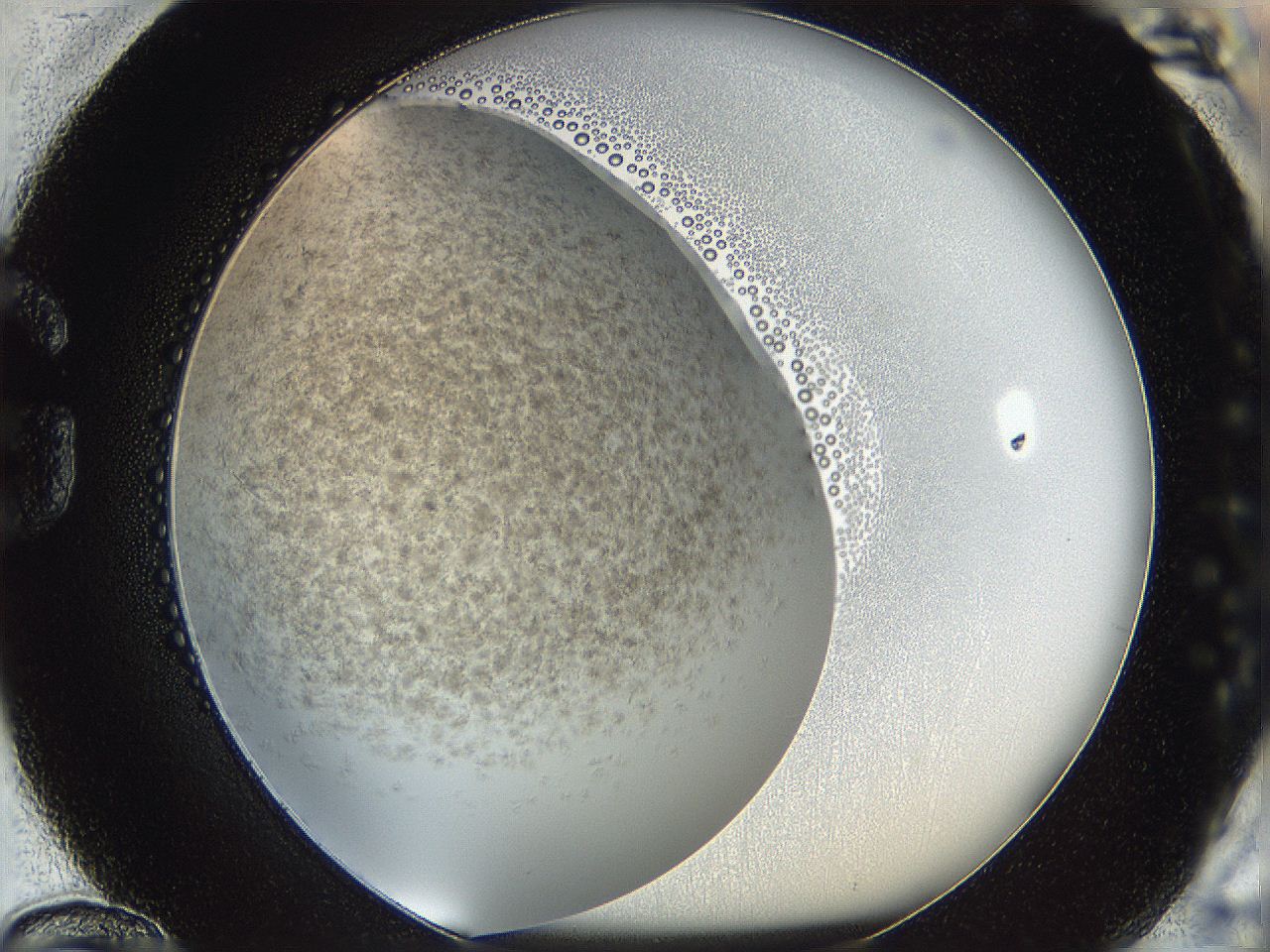 05k0_G12_ImagerDefaults_3.jpg