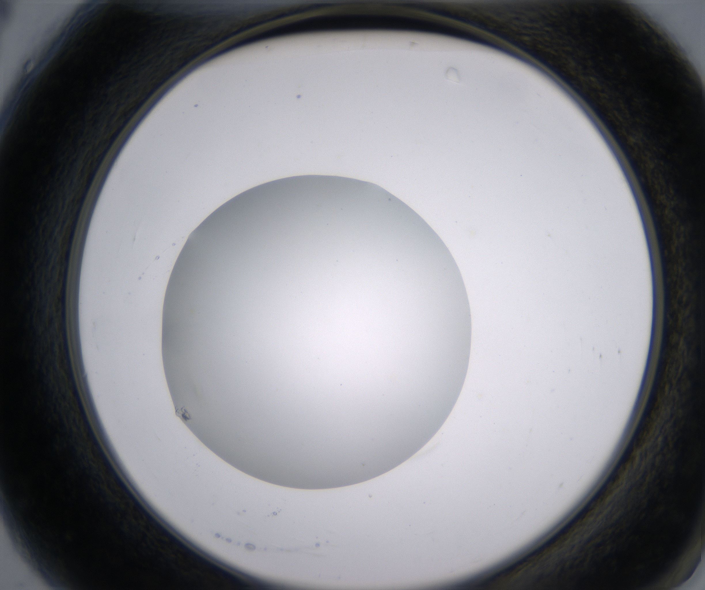 A4_HighResolution_Clear_2.jpg