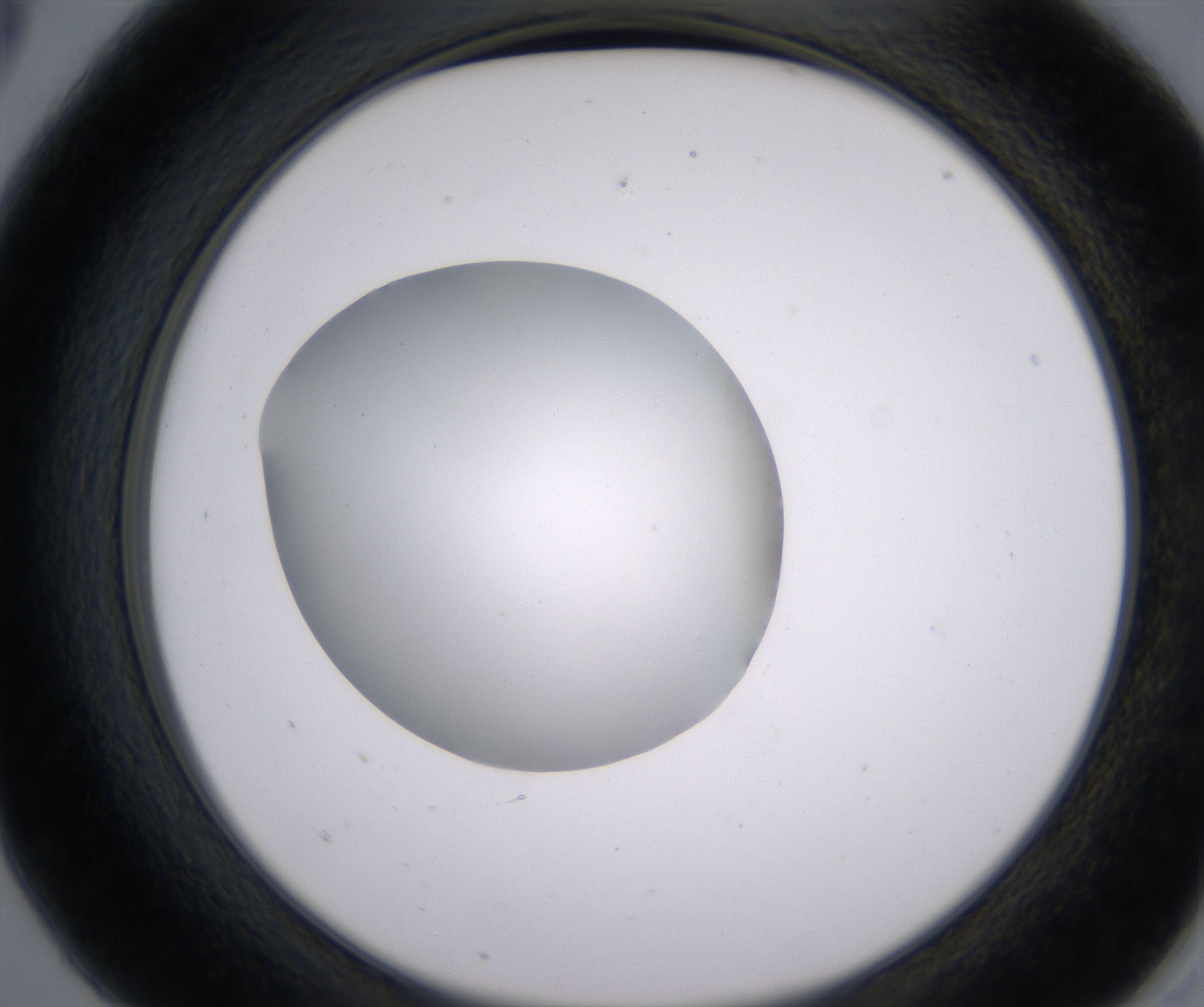 A5_HighResolution_Clear_2.jpg