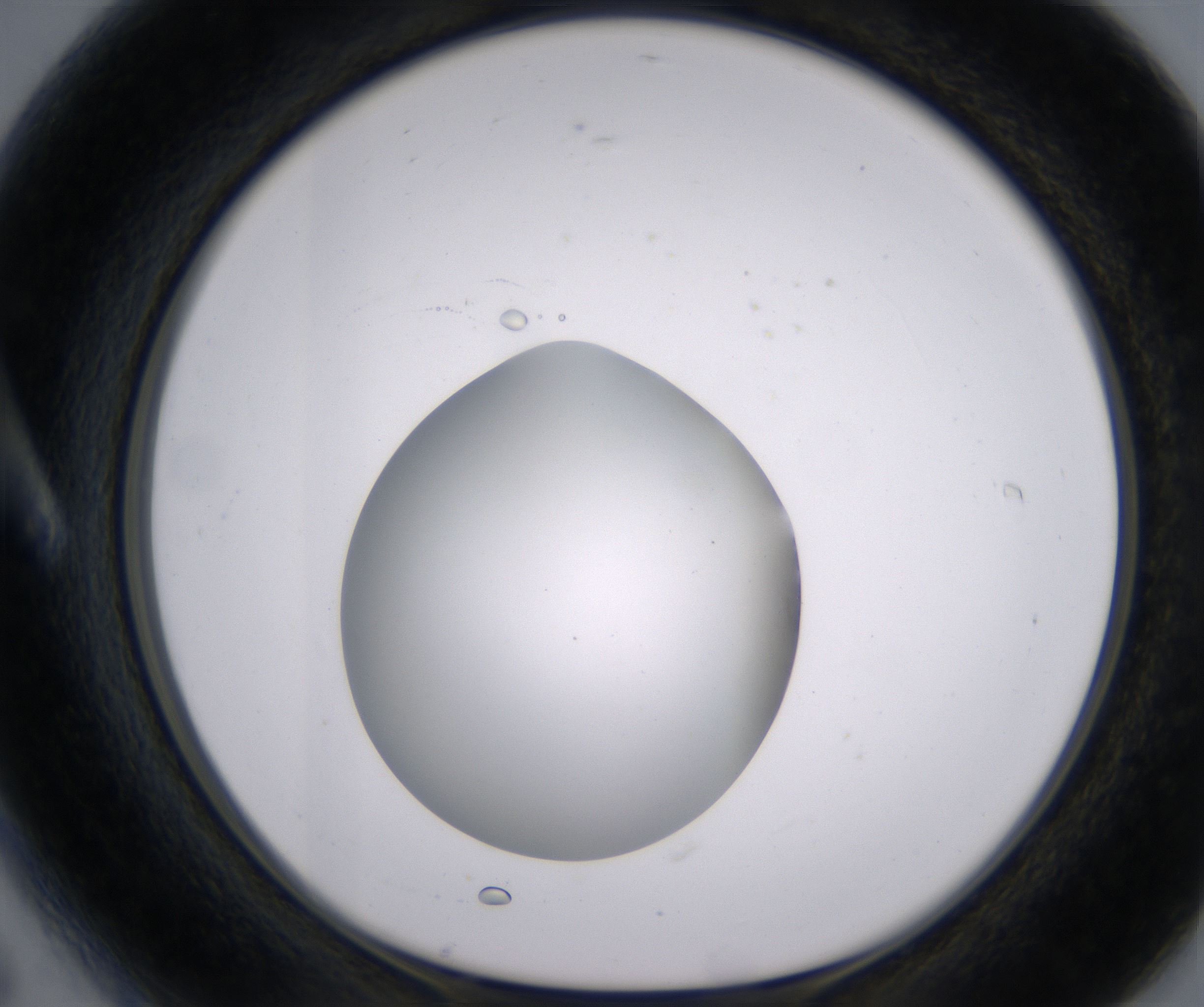 A6_HighResolution_Clear_1.jpg