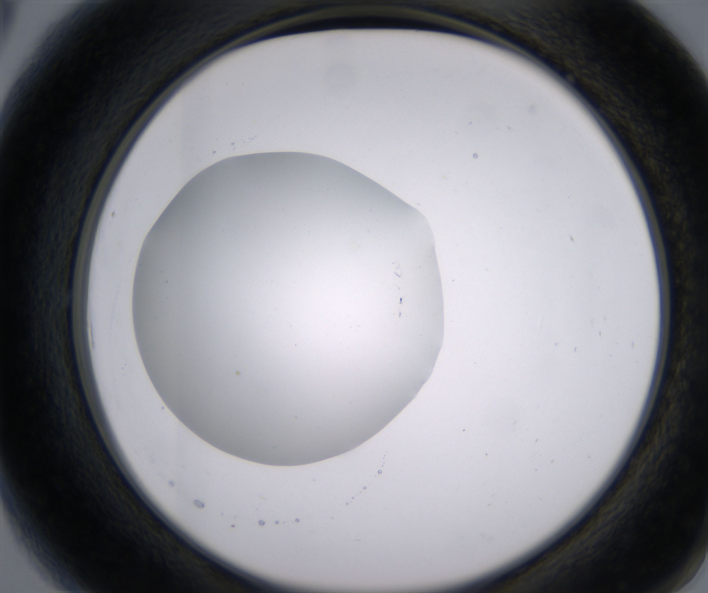 A6_HighResolution_Clear_2.jpg