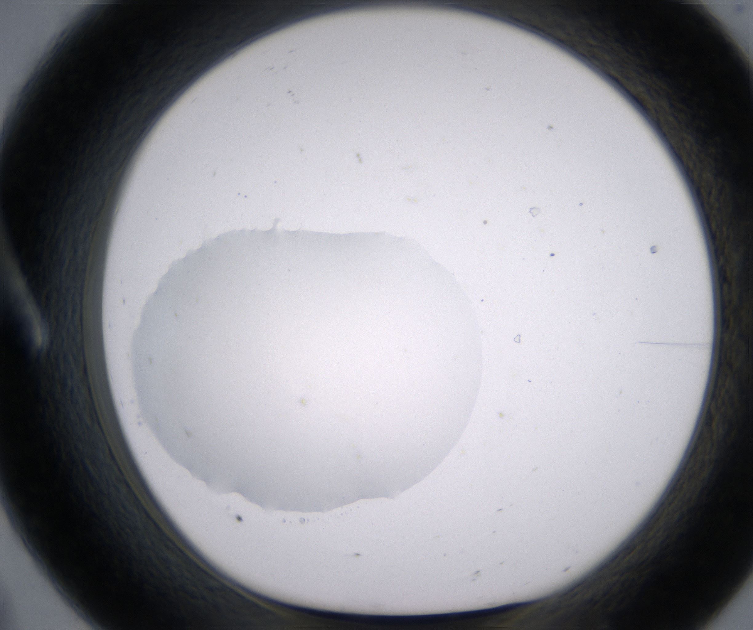 A8_HighResolution_Clear_1.jpg