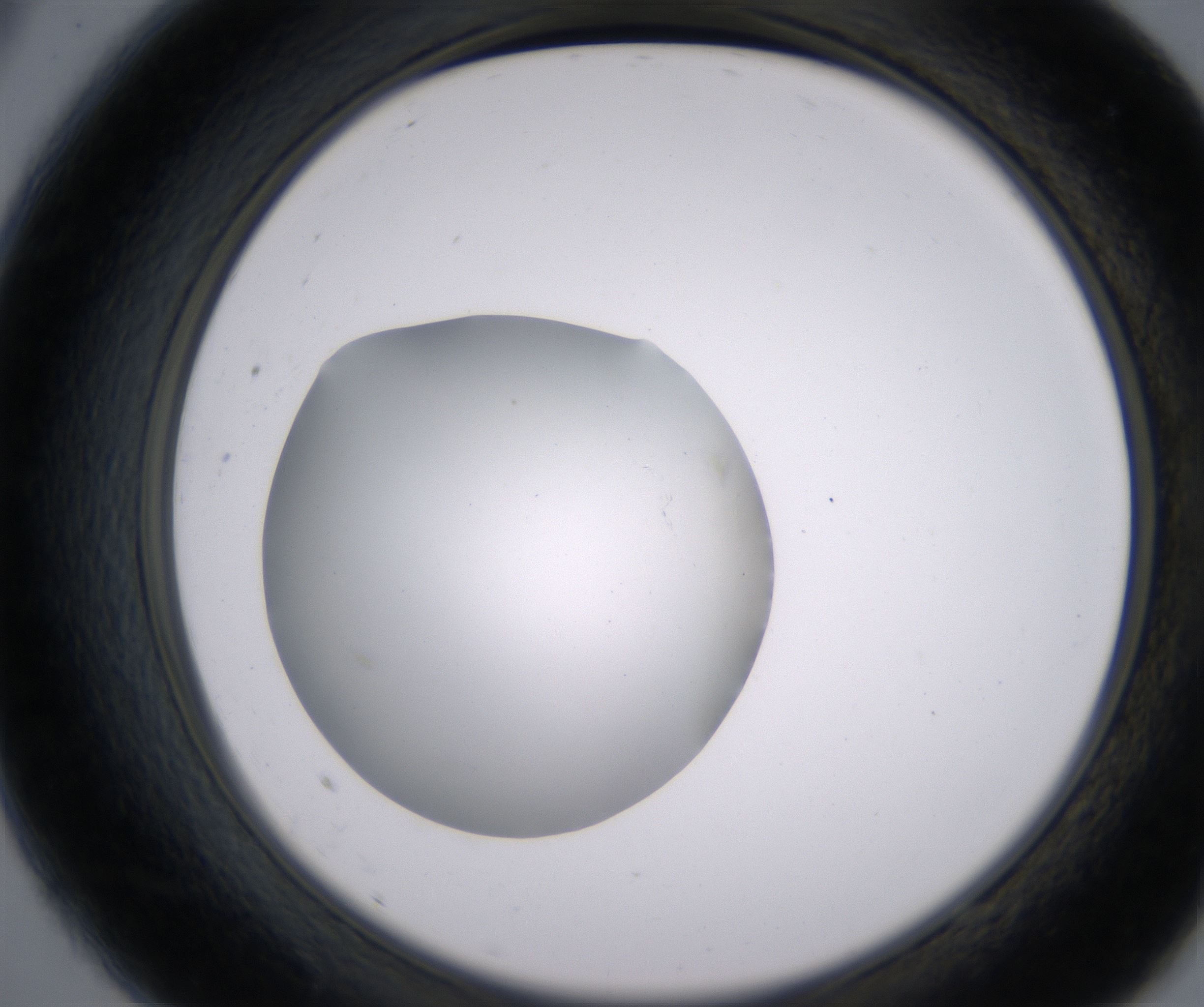 A9_HighResolution_Clear_2.jpg