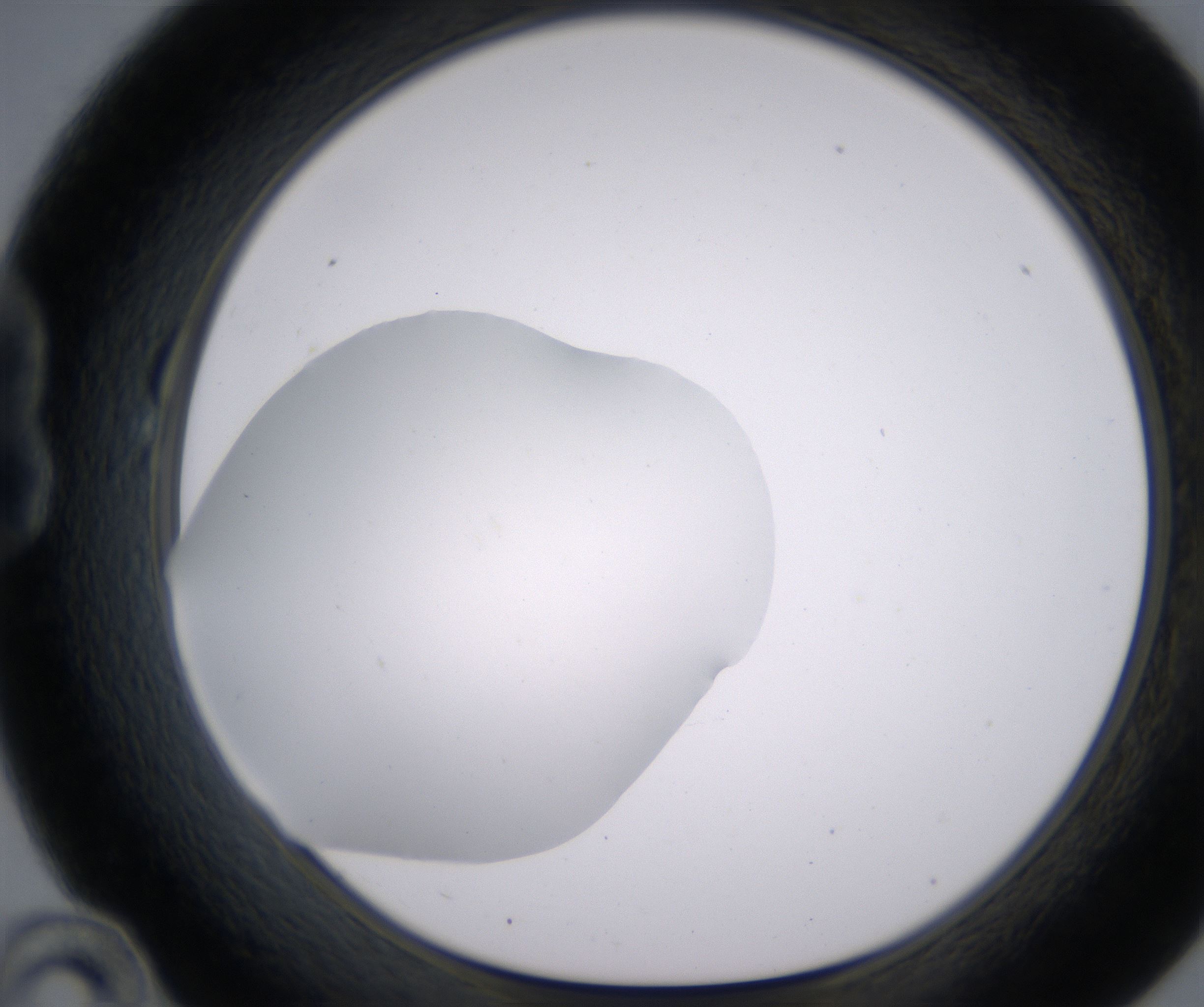 B10_HighResolution_Clear_1.jpg