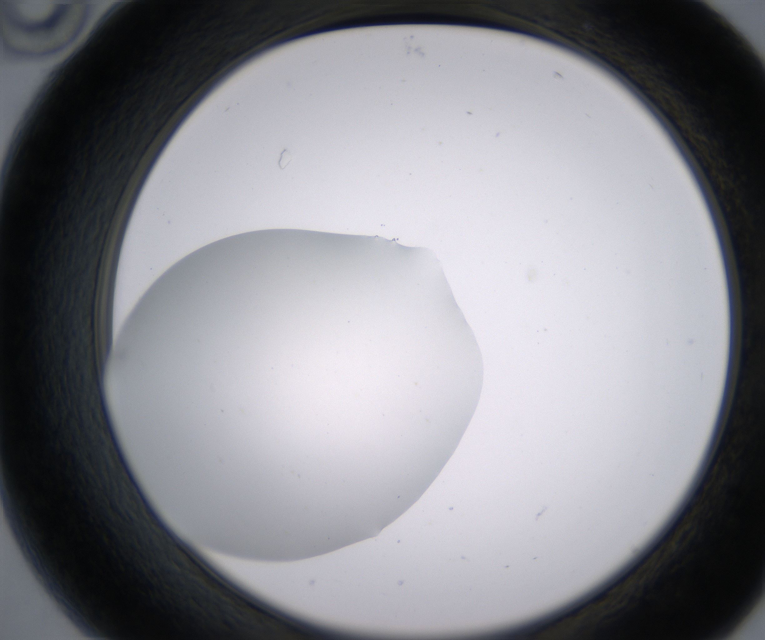 B10_HighResolution_Clear_2.jpg