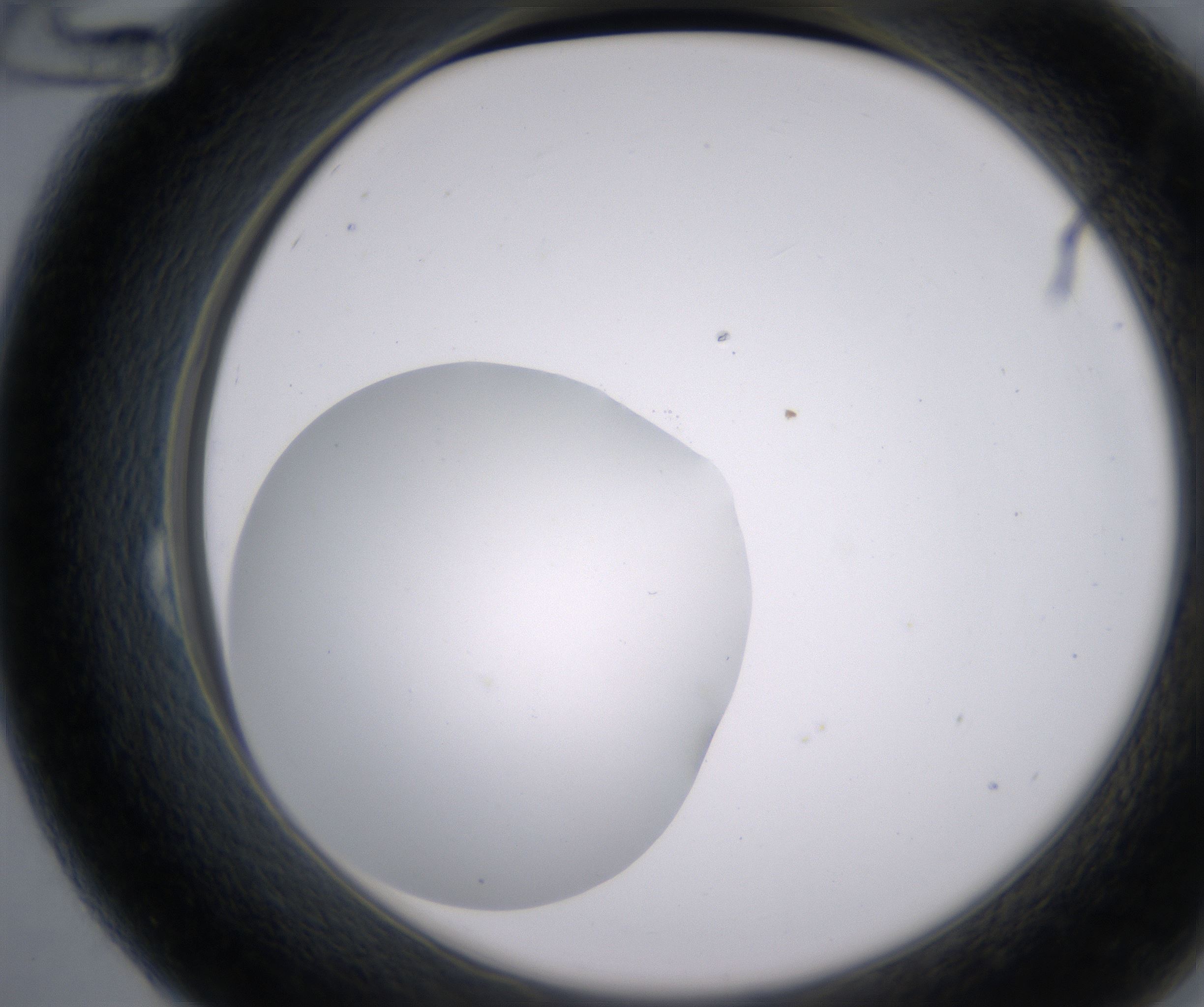 B12_HighResolution_Clear_2.jpg