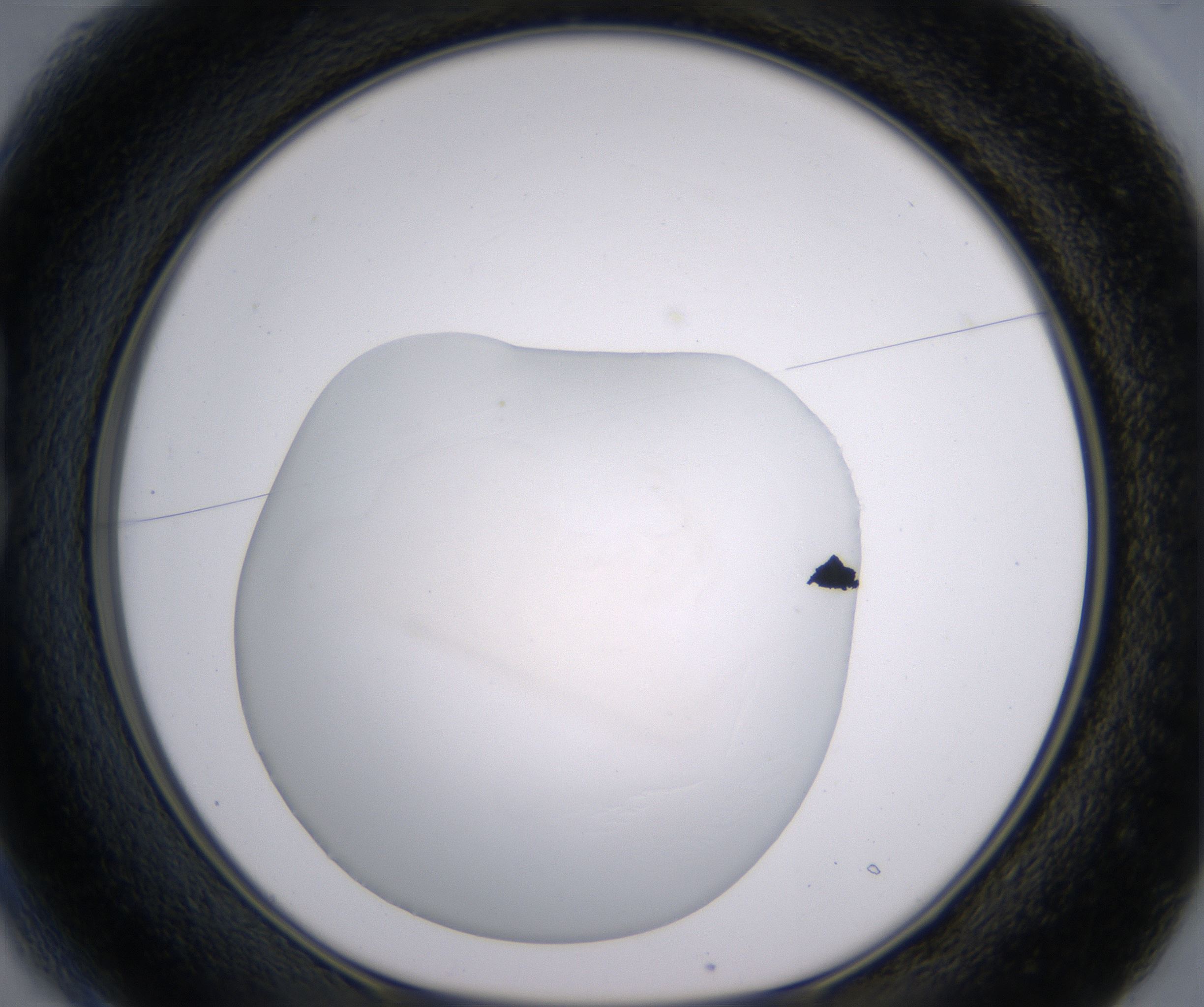 B1_HighResolution_Clear_1.jpg