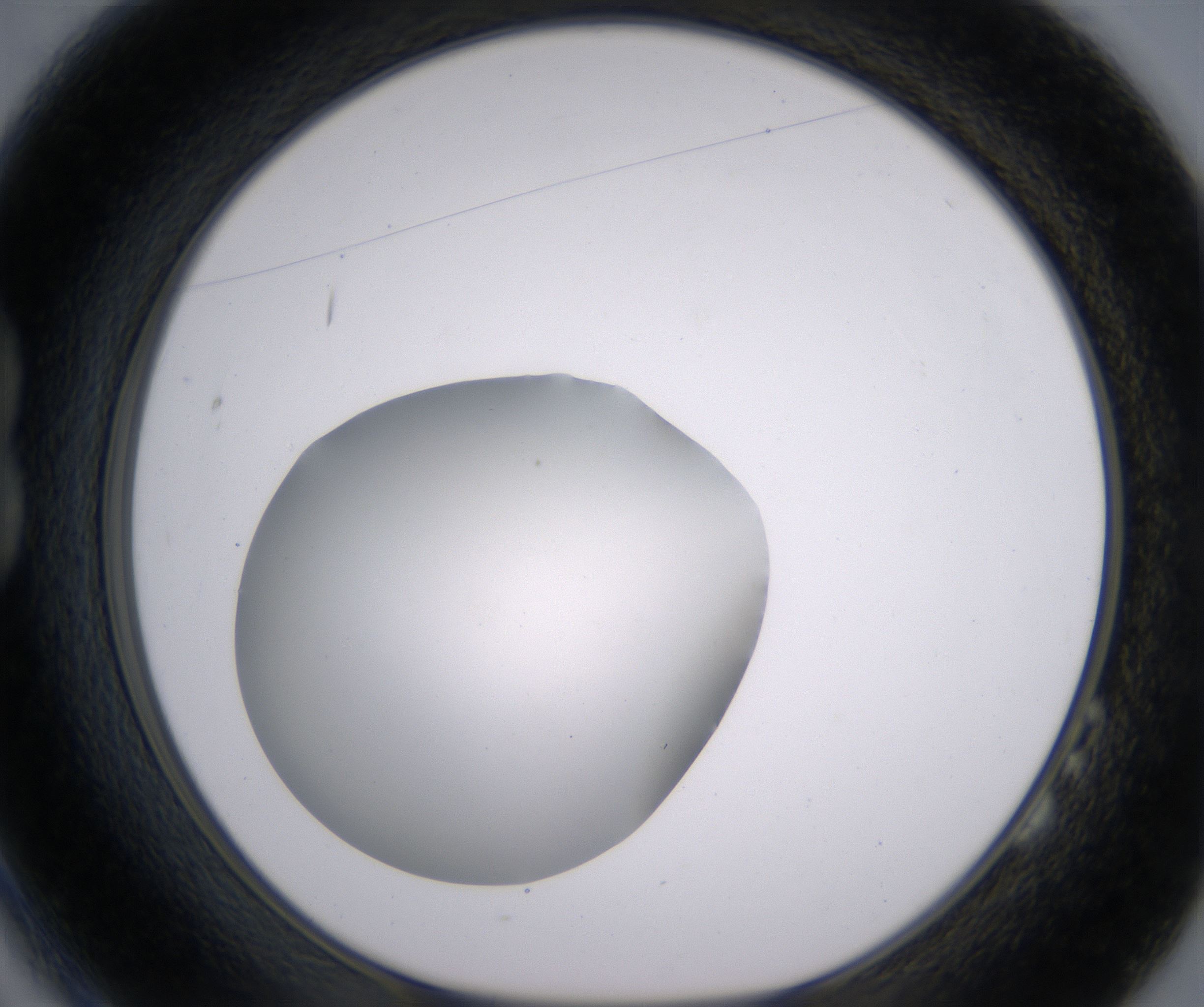B2_HighResolution_Clear_1.jpg