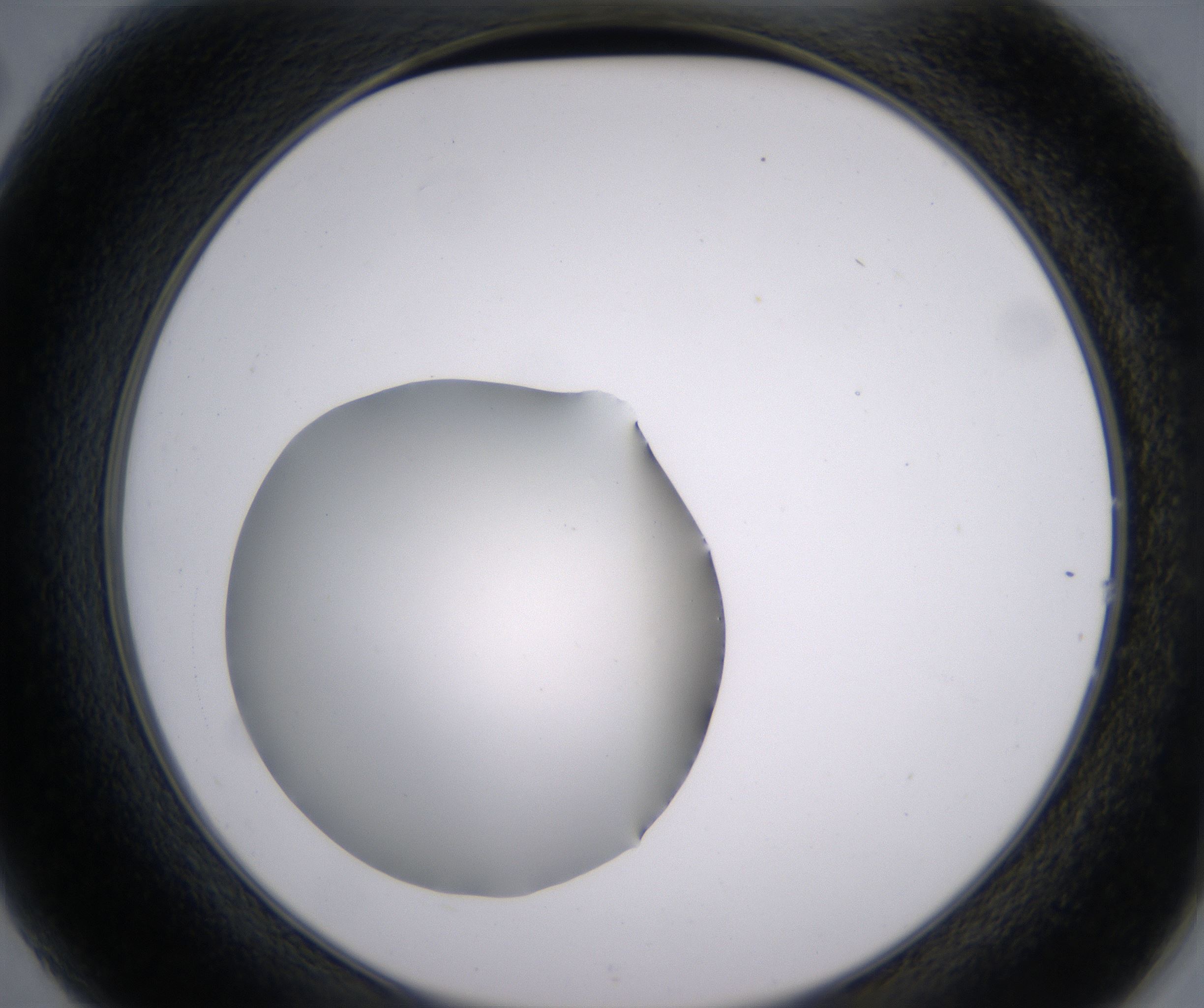 B2_HighResolution_Clear_2.jpg
