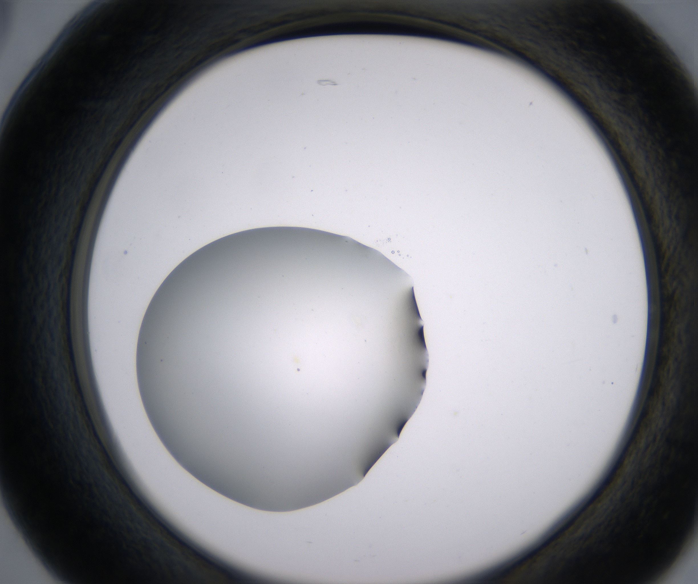 B5_HighResolution_Clear_2.jpg