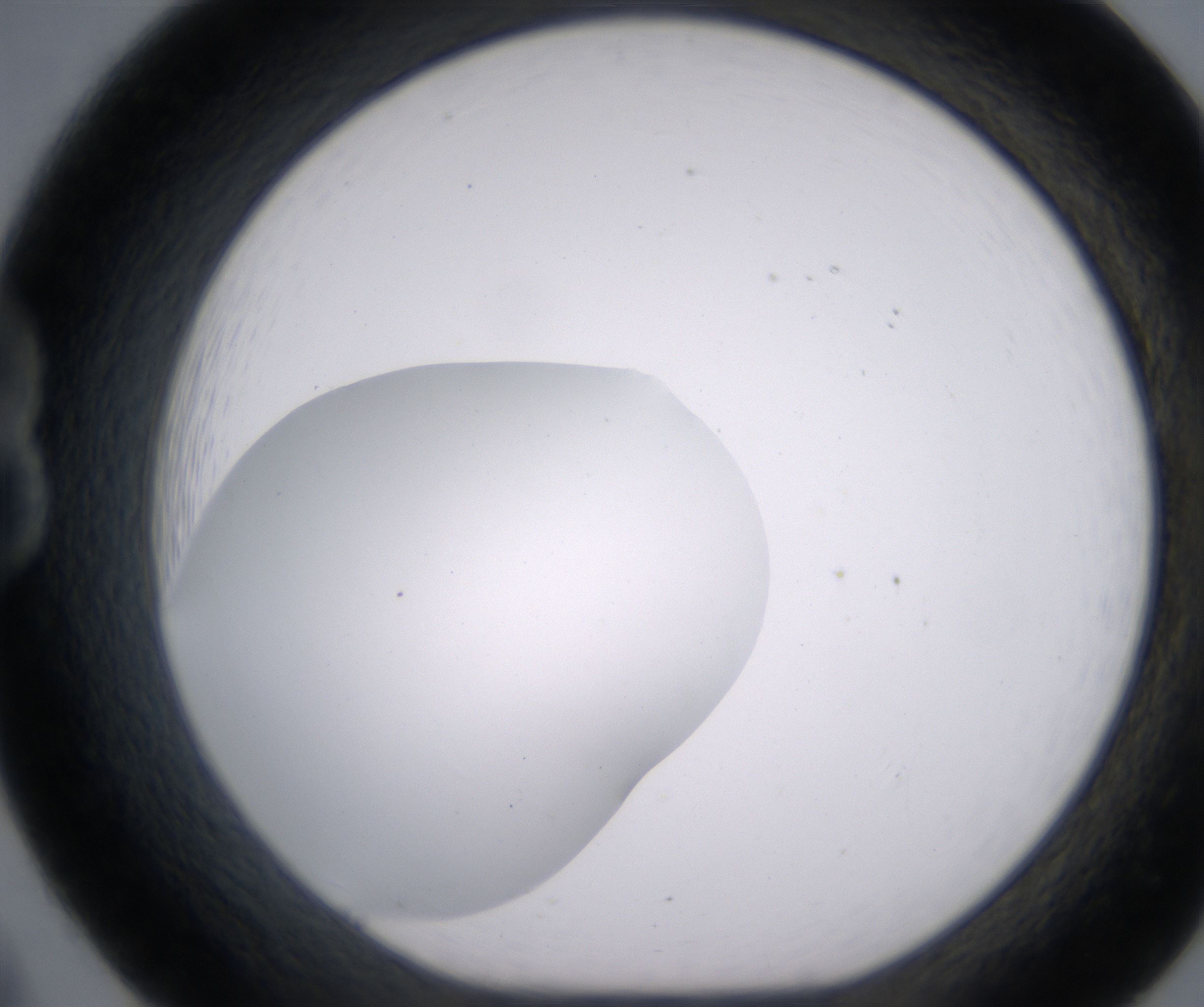 B8_HighResolution_Clear_1.jpg