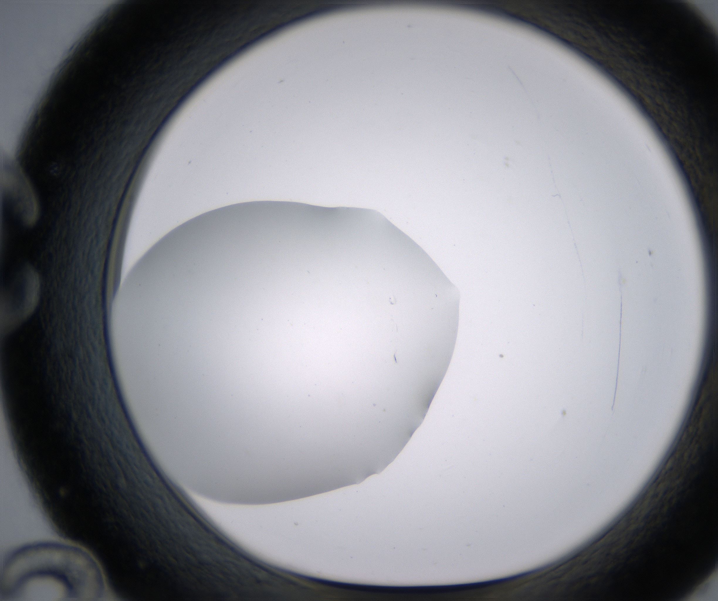 C12_HighResolution_Clear_1.jpg
