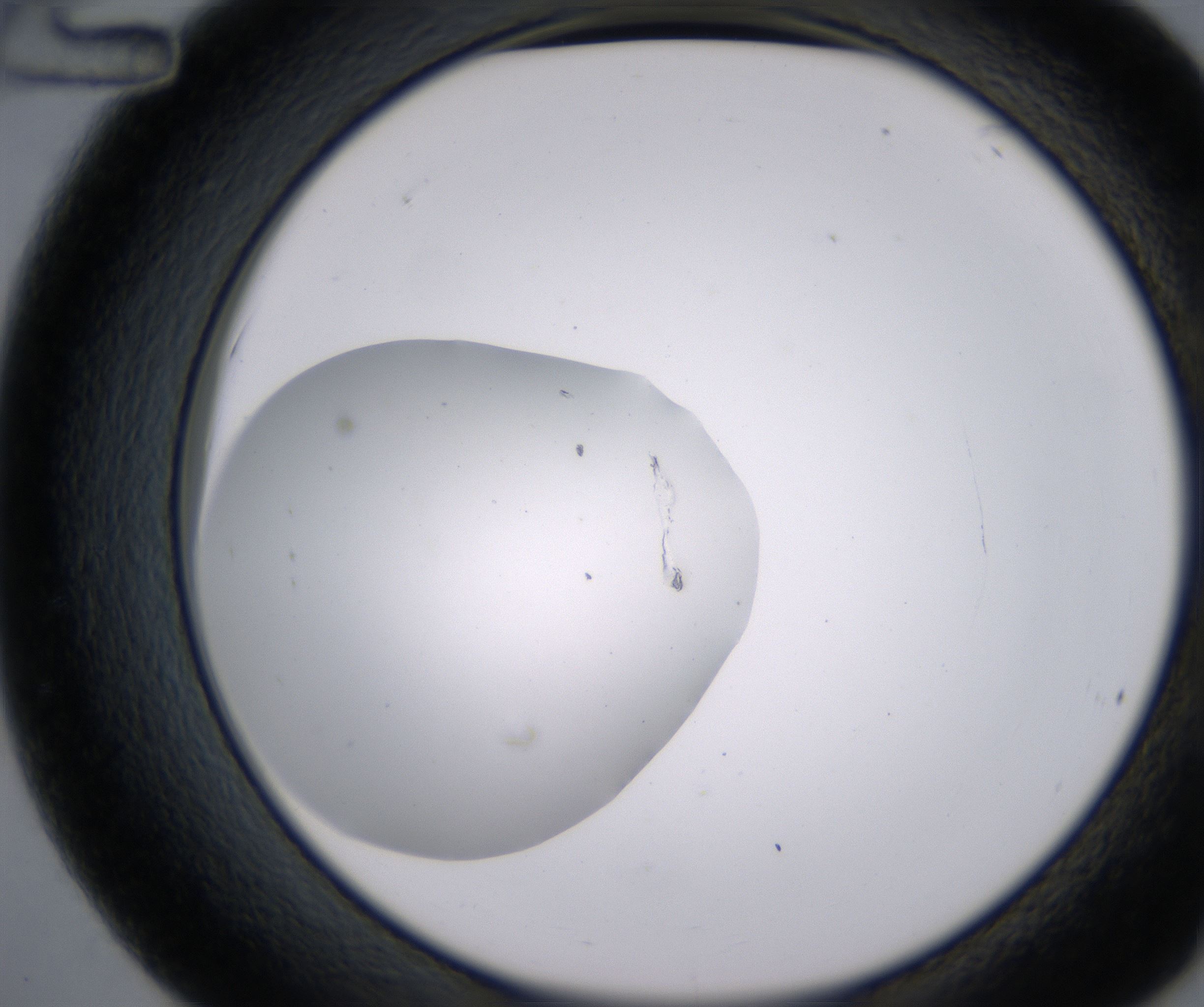 C12_HighResolution_Clear_2.jpg