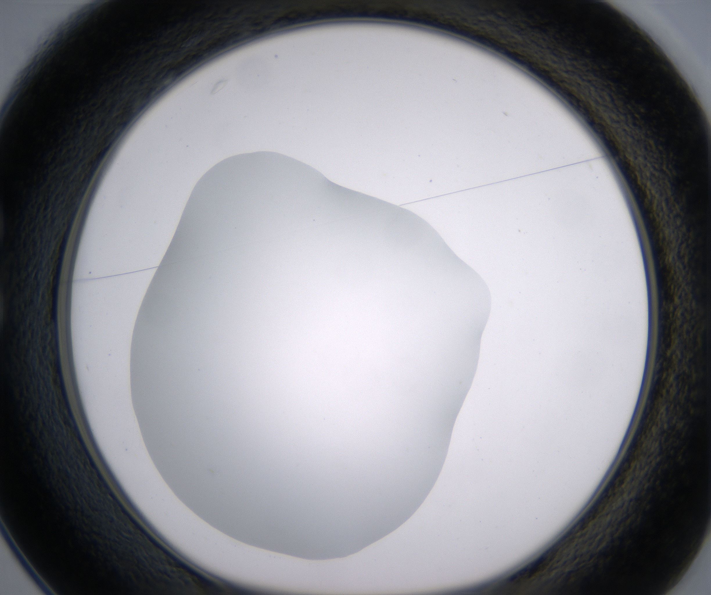 C1_HighResolution_Clear_1.jpg