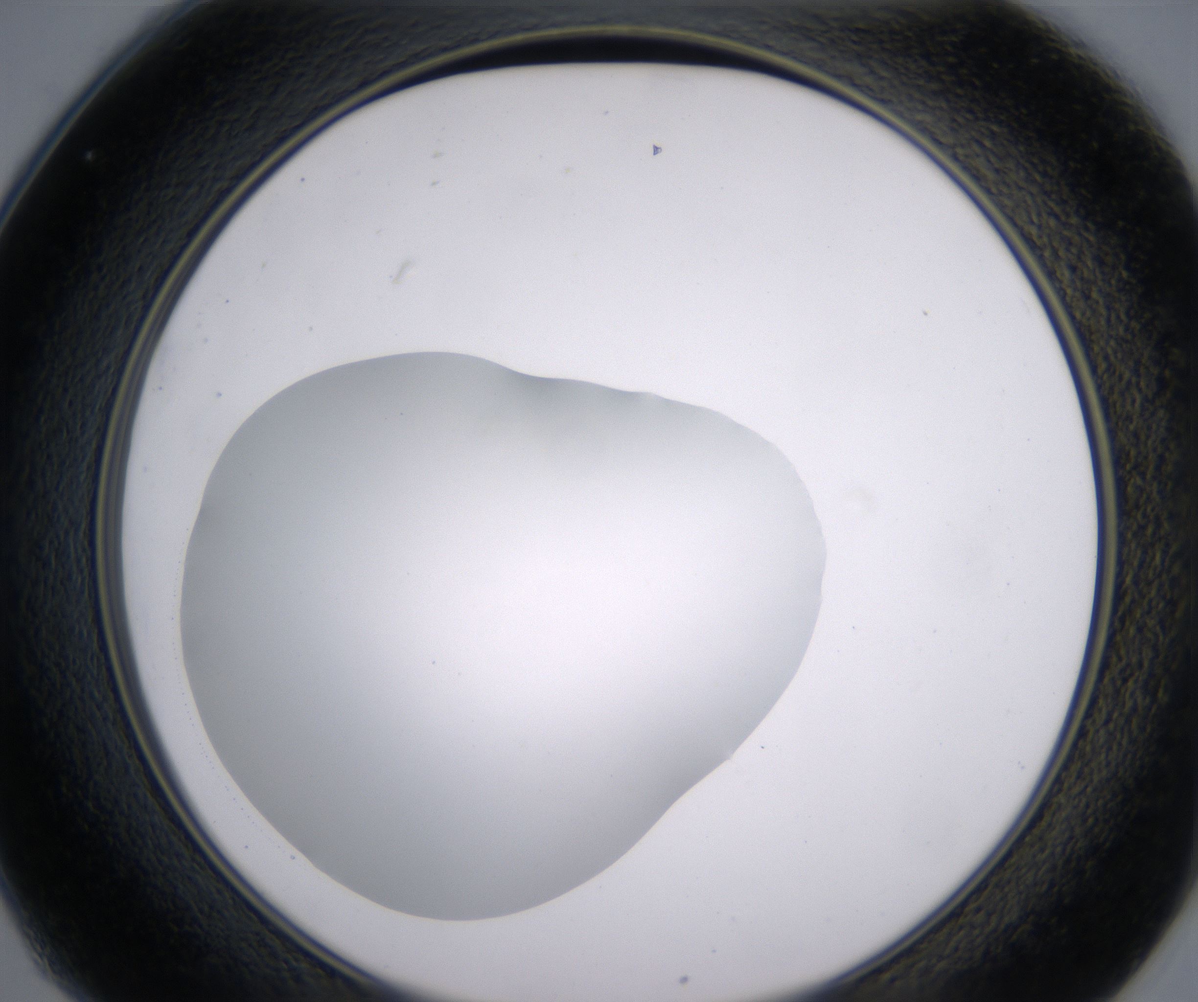 C1_HighResolution_Clear_2.jpg