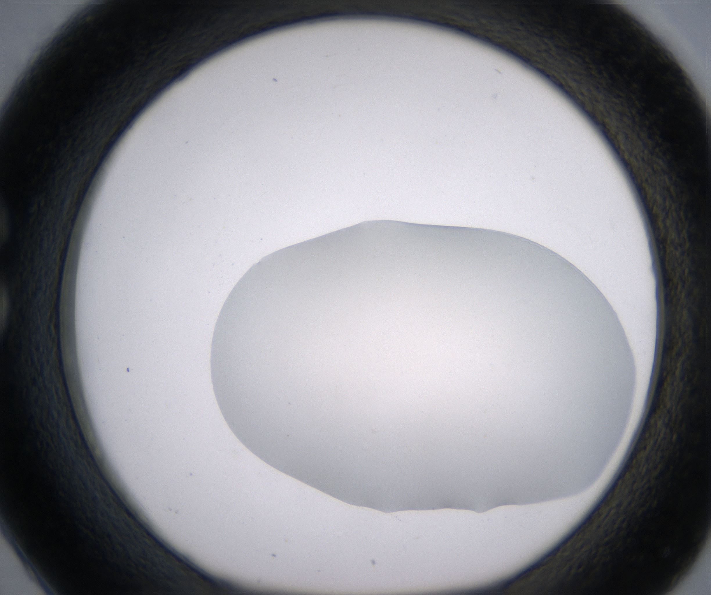 C2_HighResolution_Clear_1.jpg