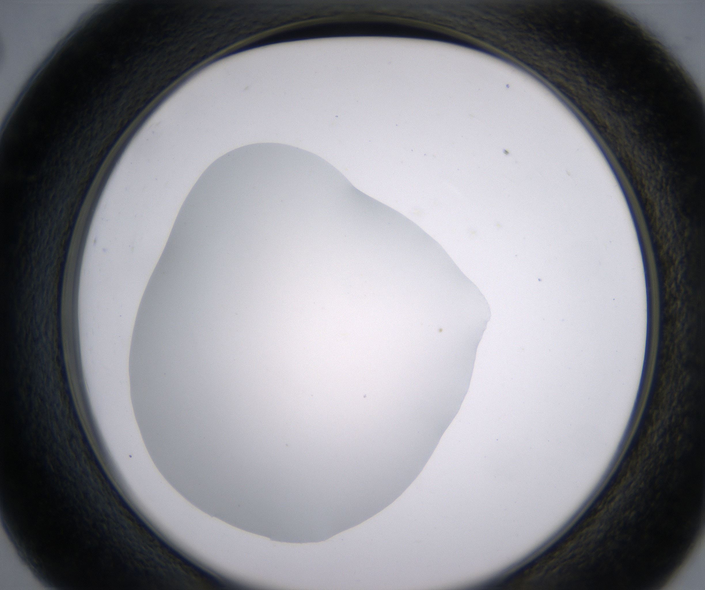 C2_HighResolution_Clear_2.jpg