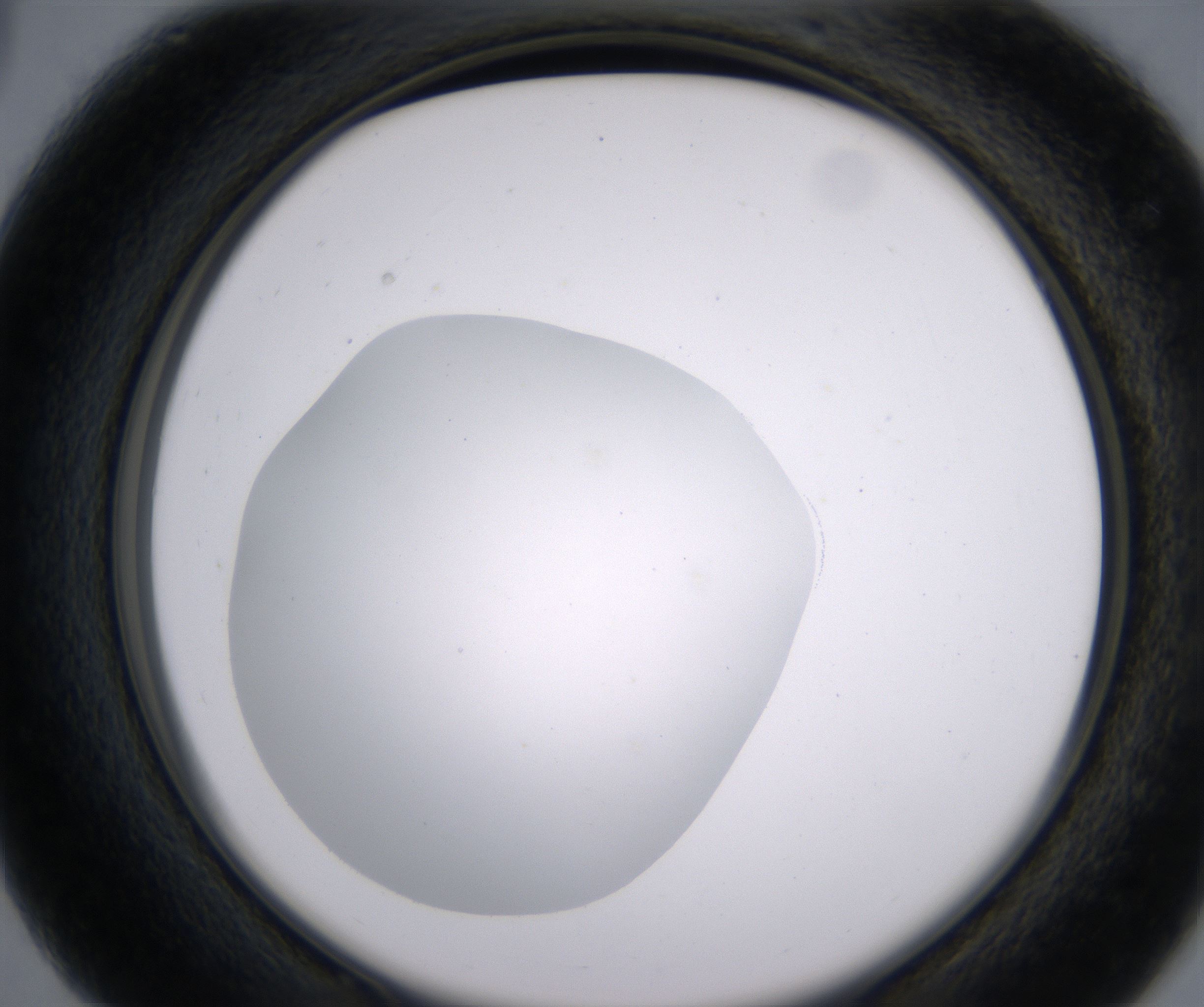 C3_HighResolution_Clear_2.jpg