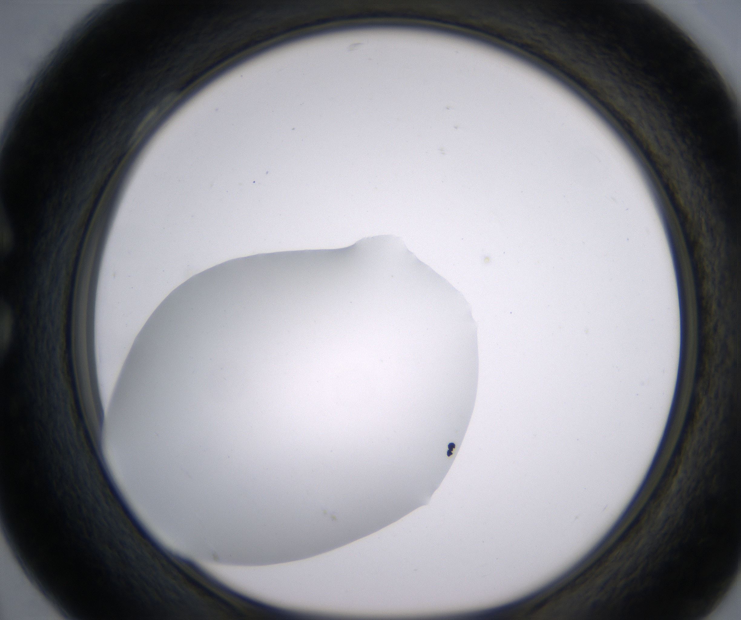 C4_HighResolution_Clear_1.jpg