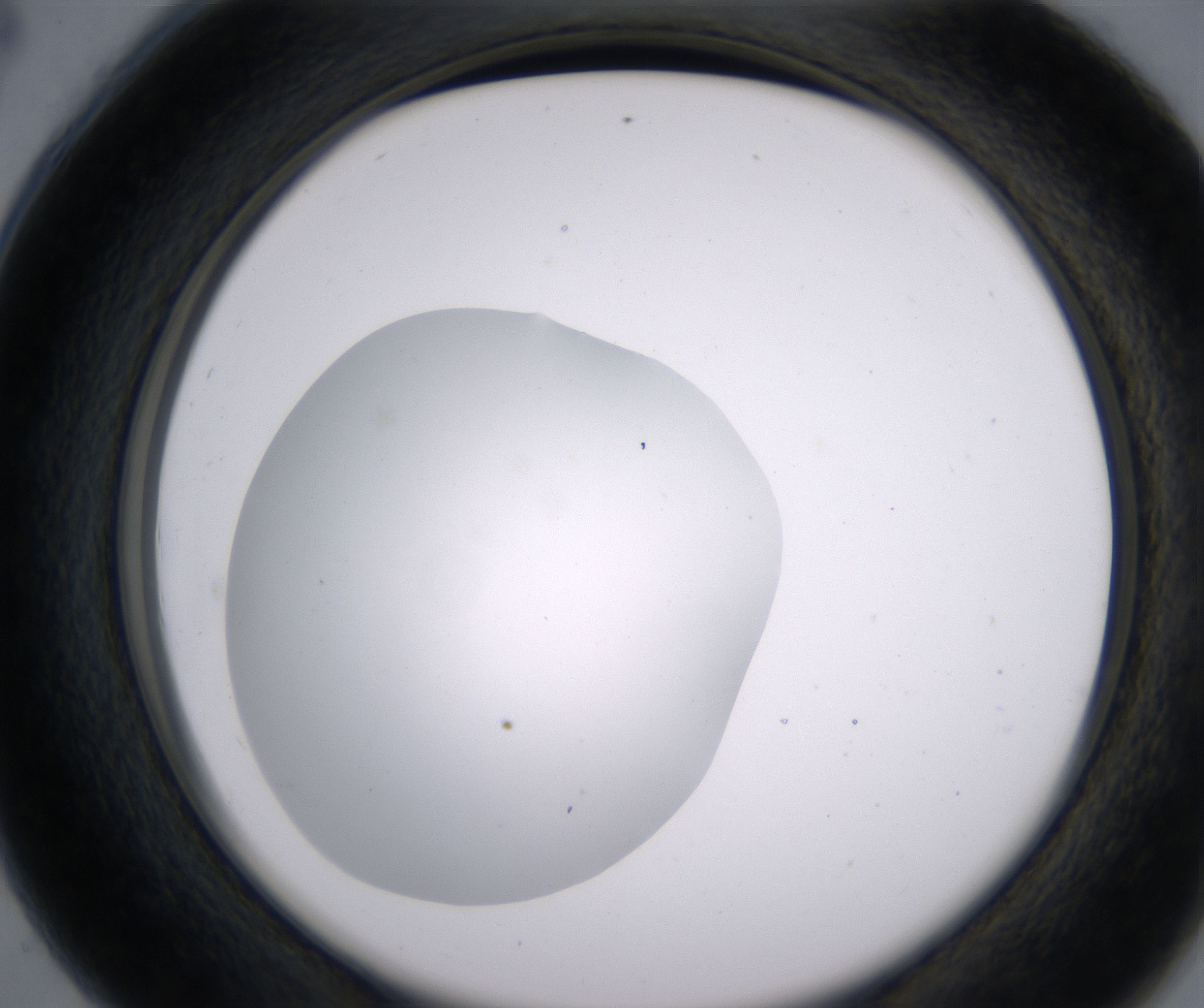 C4_HighResolution_Clear_2.jpg