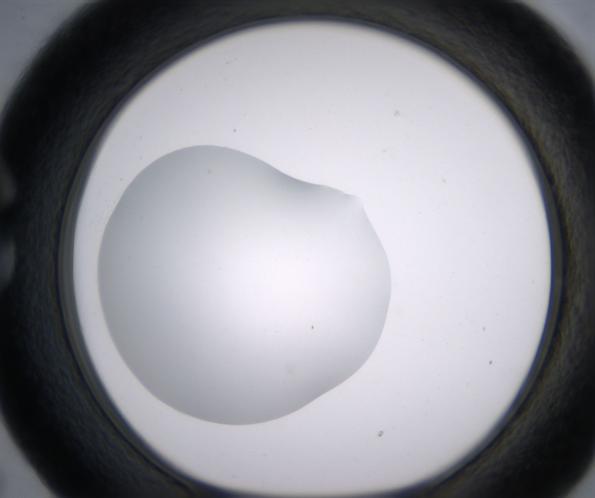 C5_HighResolution_Clear_1.jpg