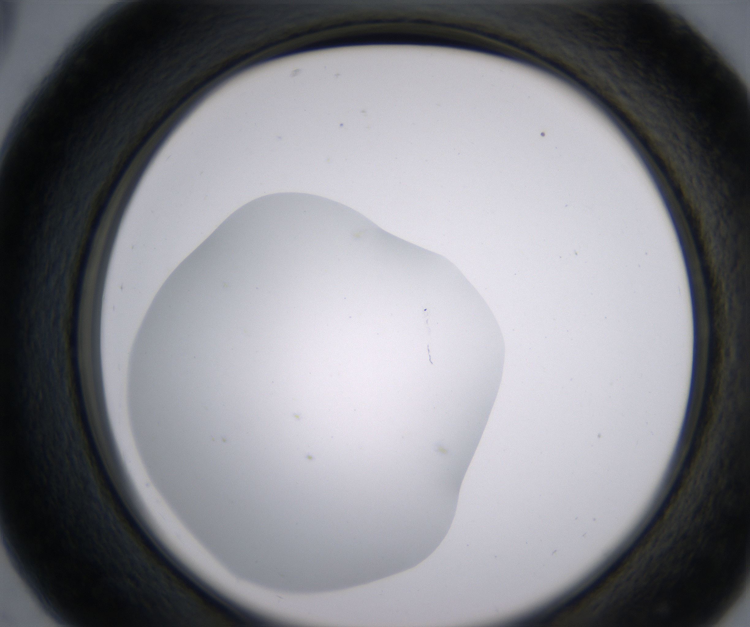 C5_HighResolution_Clear_2.jpg