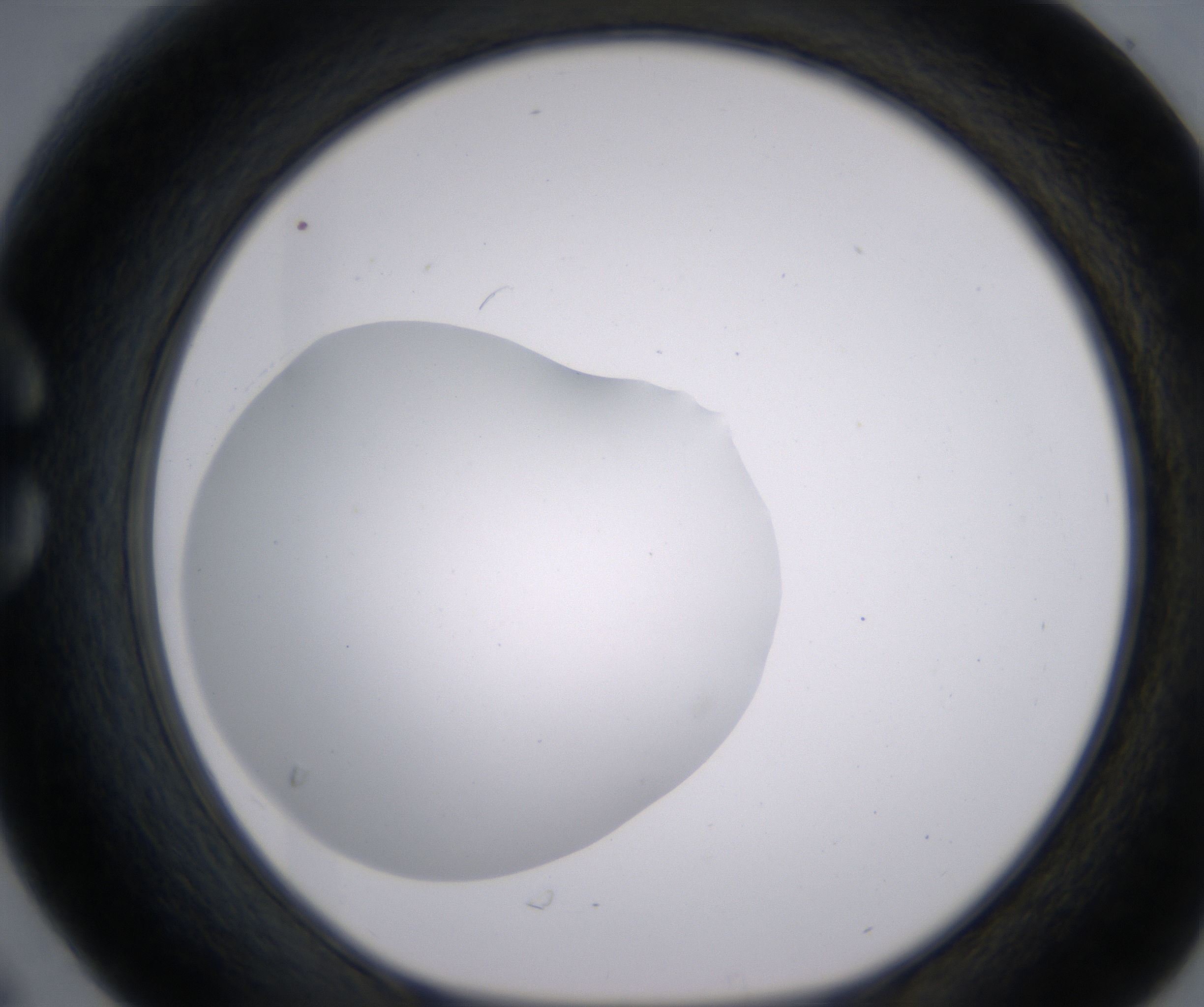 C6_HighResolution_Clear_1.jpg