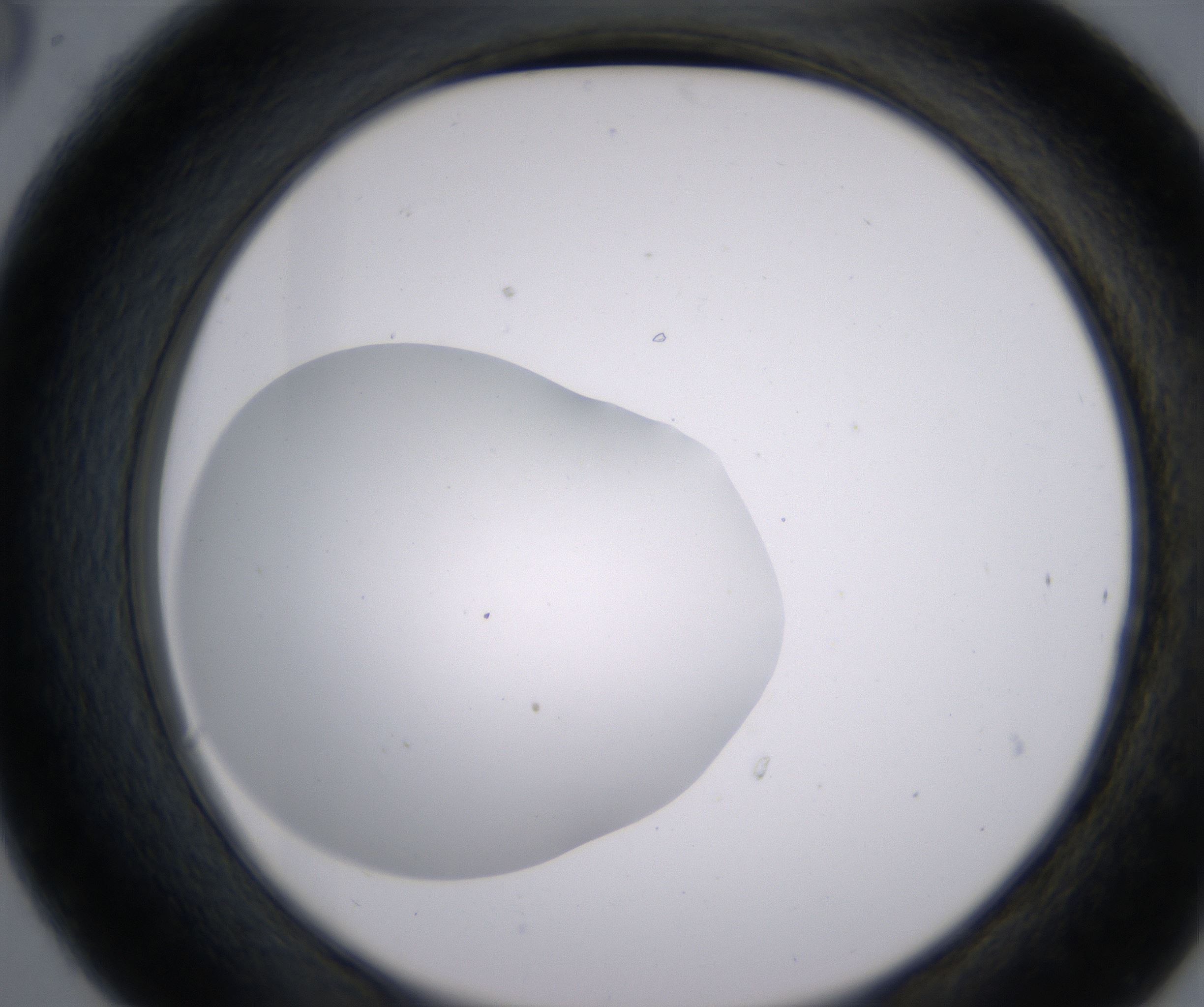 C6_HighResolution_Clear_2.jpg