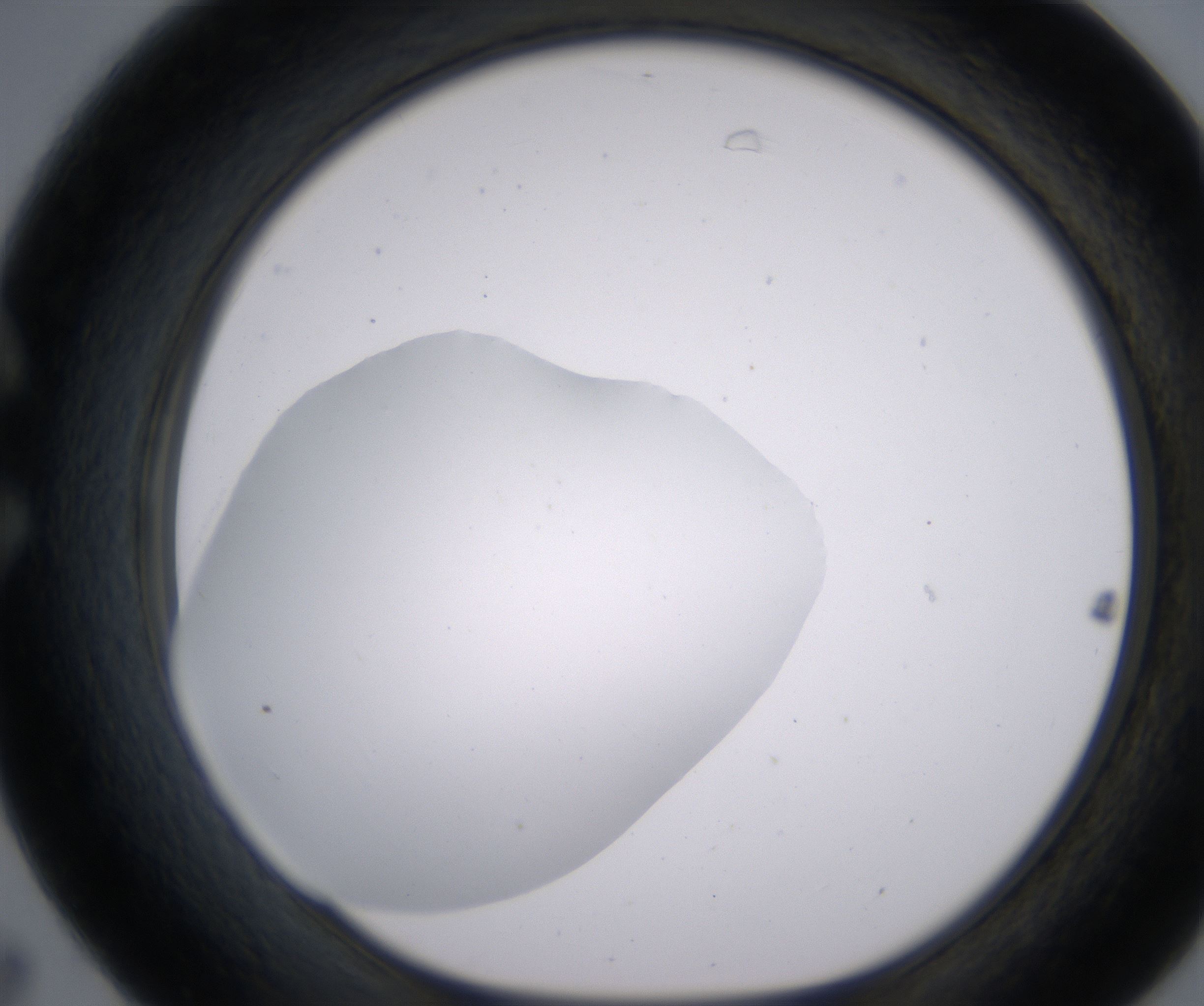 C7_HighResolution_Clear_1.jpg