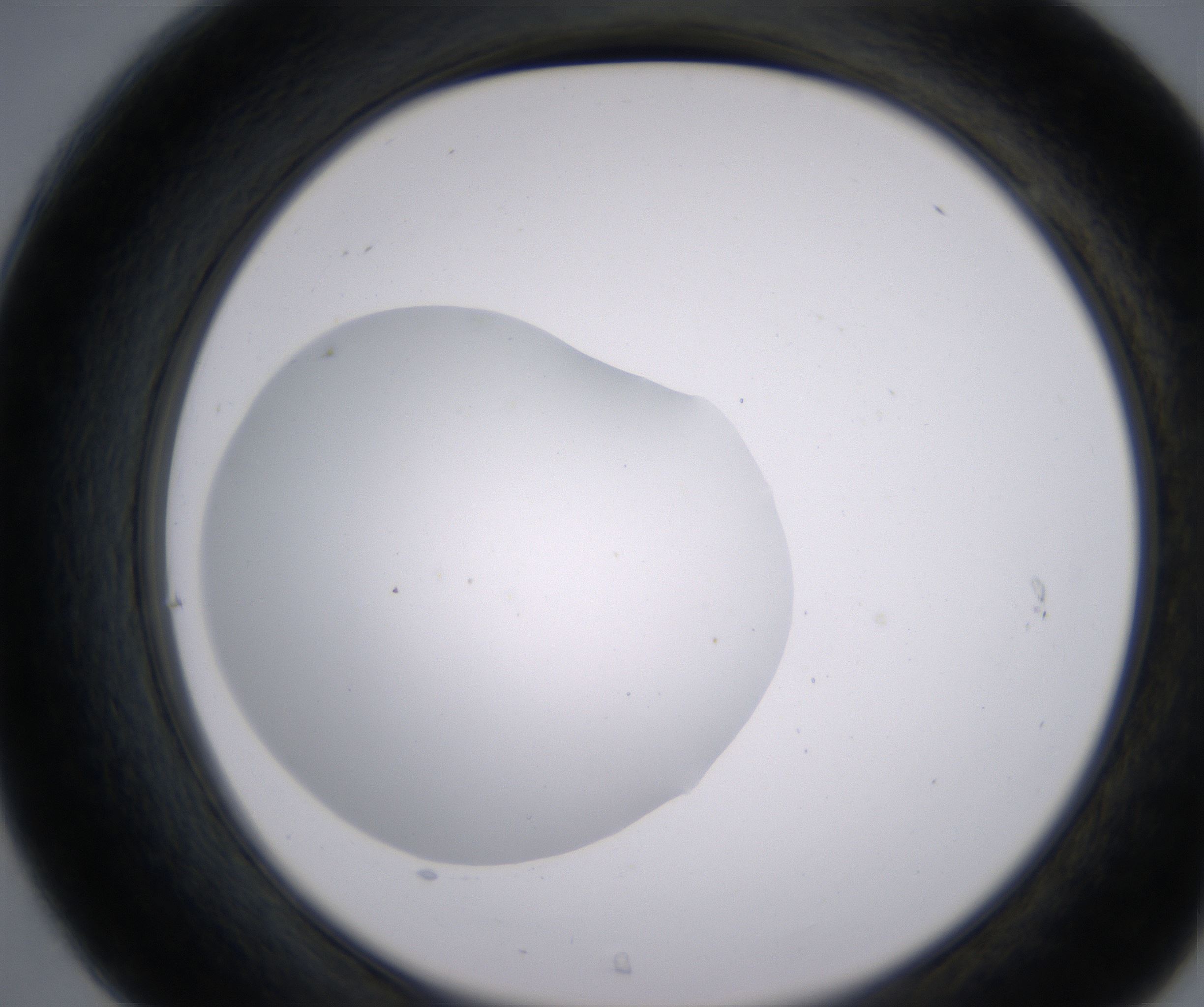 C7_HighResolution_Clear_2.jpg