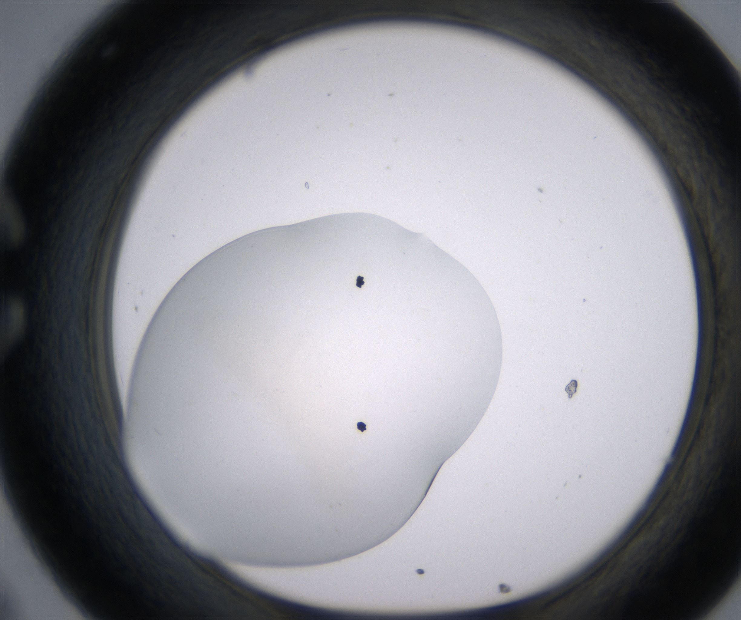 C8_HighResolution_Clear_1.jpg