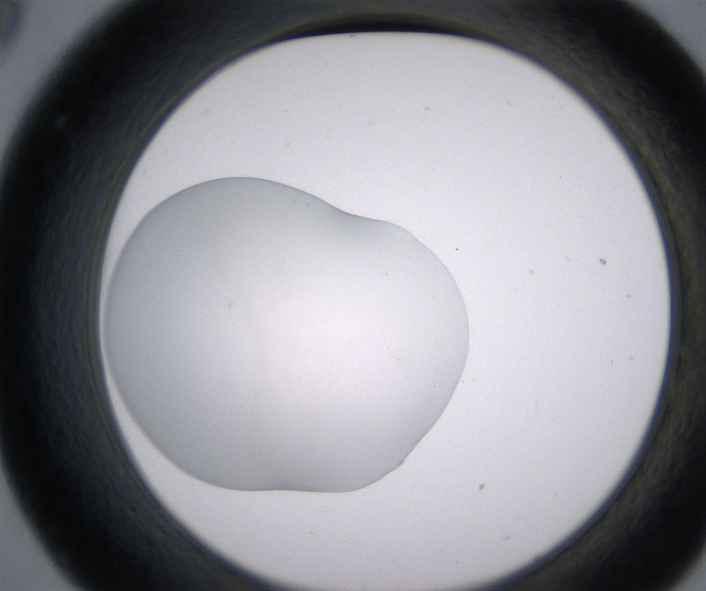 C8_HighResolution_Clear_2.jpg