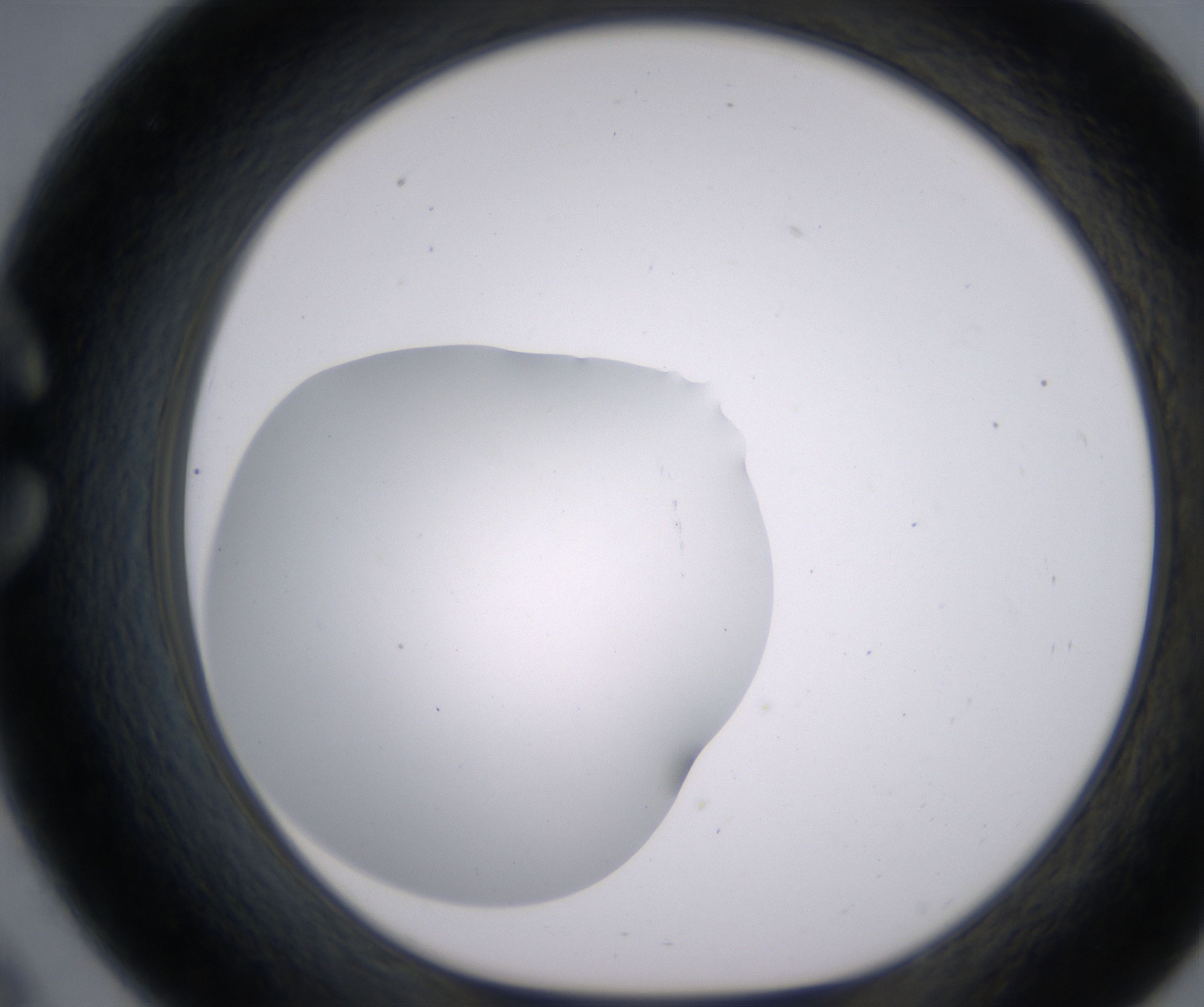 C9_HighResolution_Clear_1.jpg