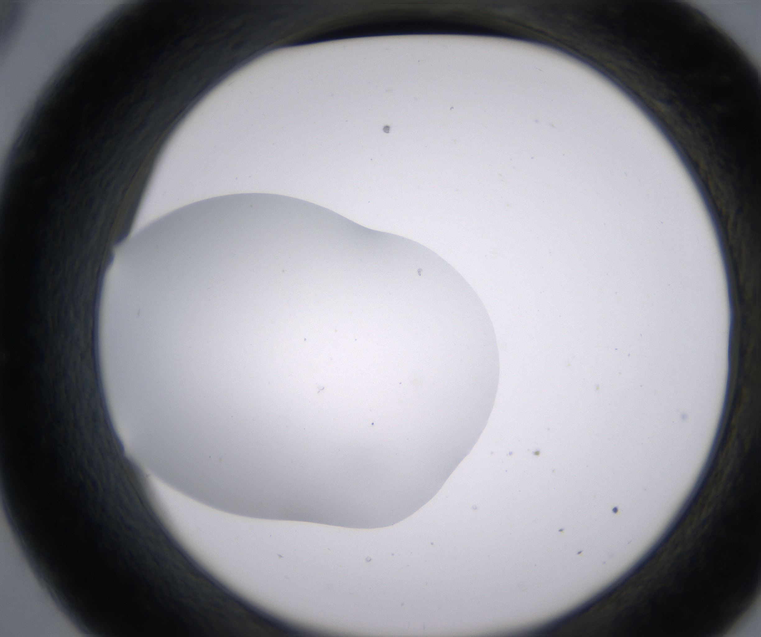 C9_HighResolution_Clear_2.jpg