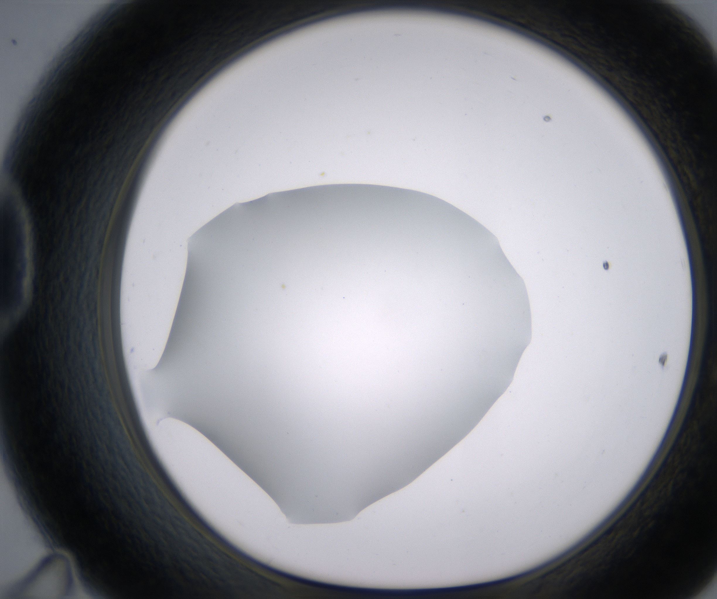 D11_HighResolution_Clear_1.jpg
