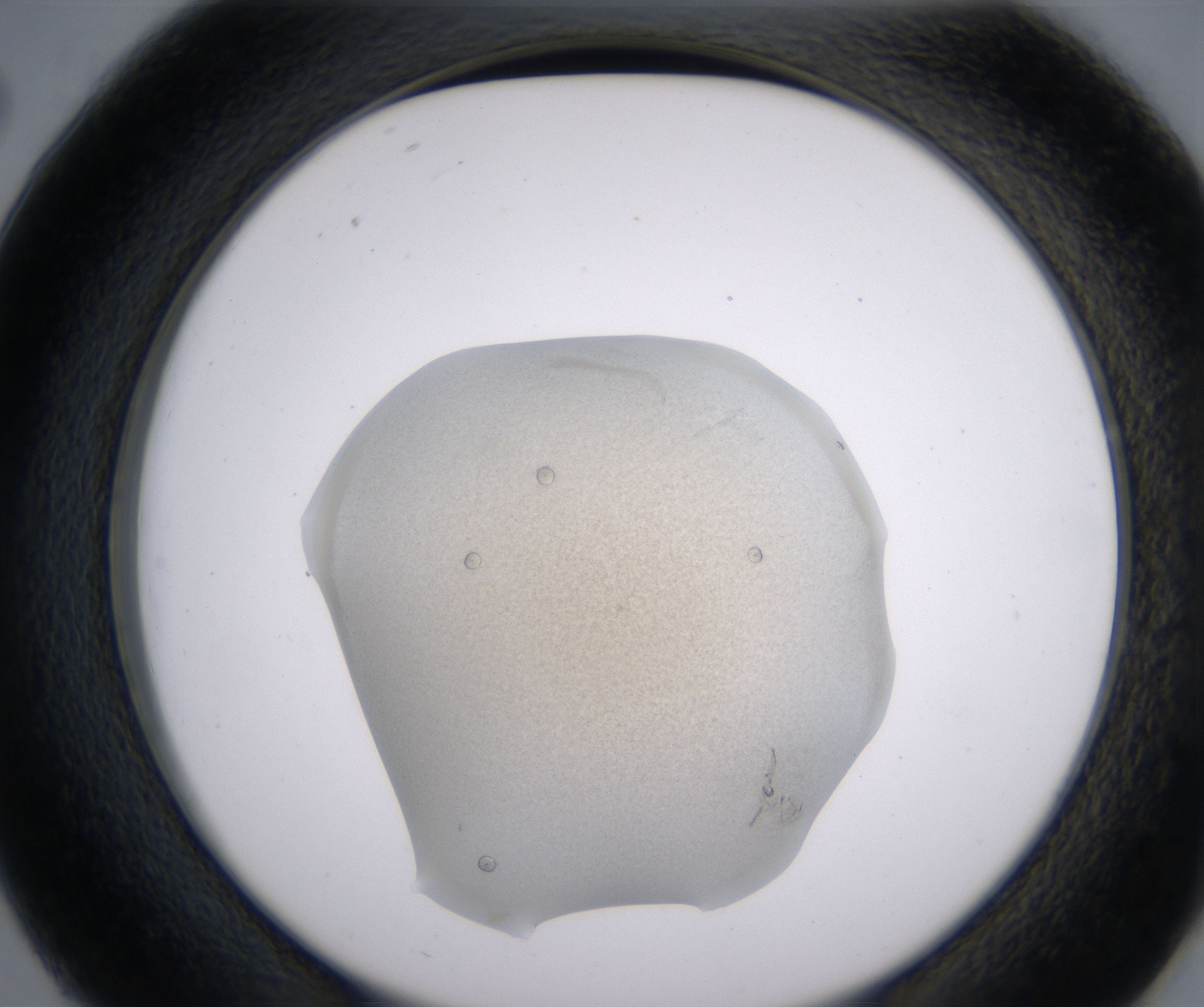 D2_HighResolution_Precipitate_2.jpg