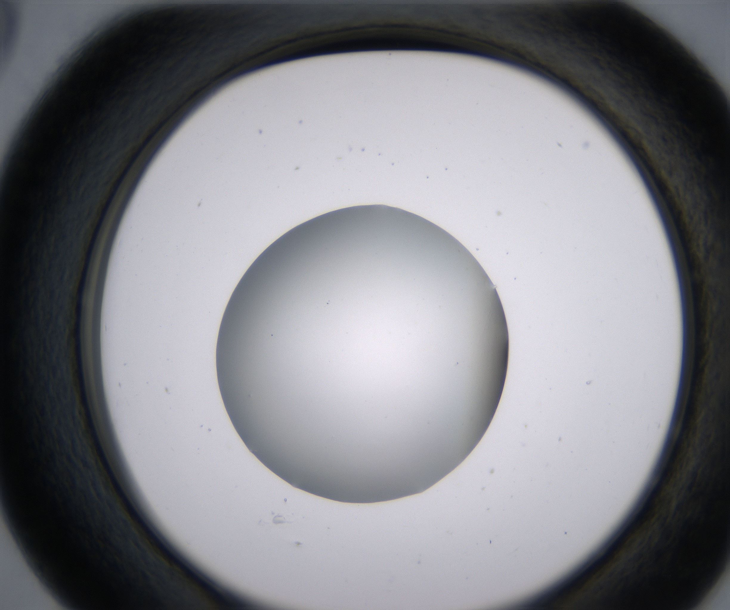 D5_HighResolution_Clear_2.jpg