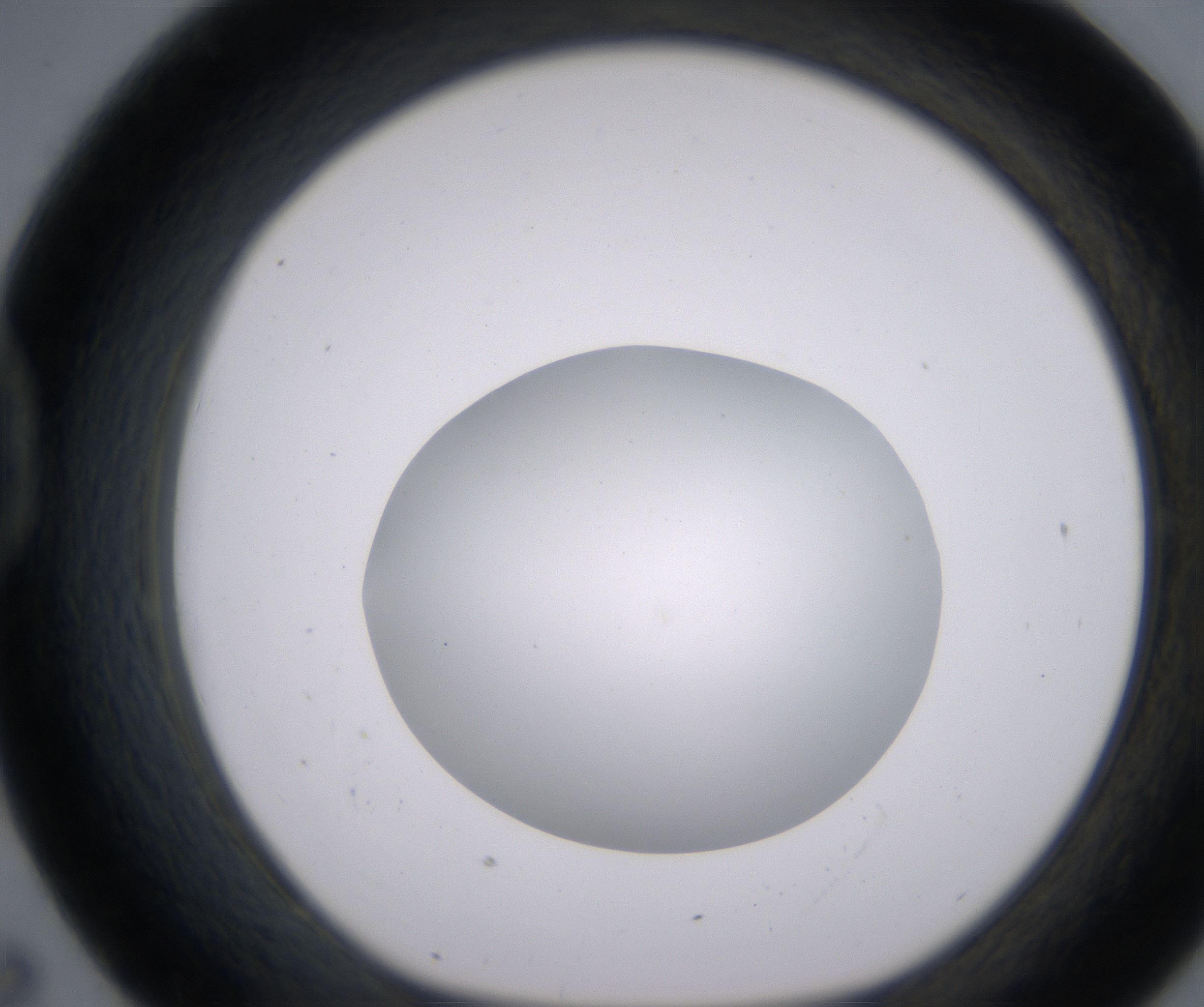 D7_HighResolution_Clear_1.jpg