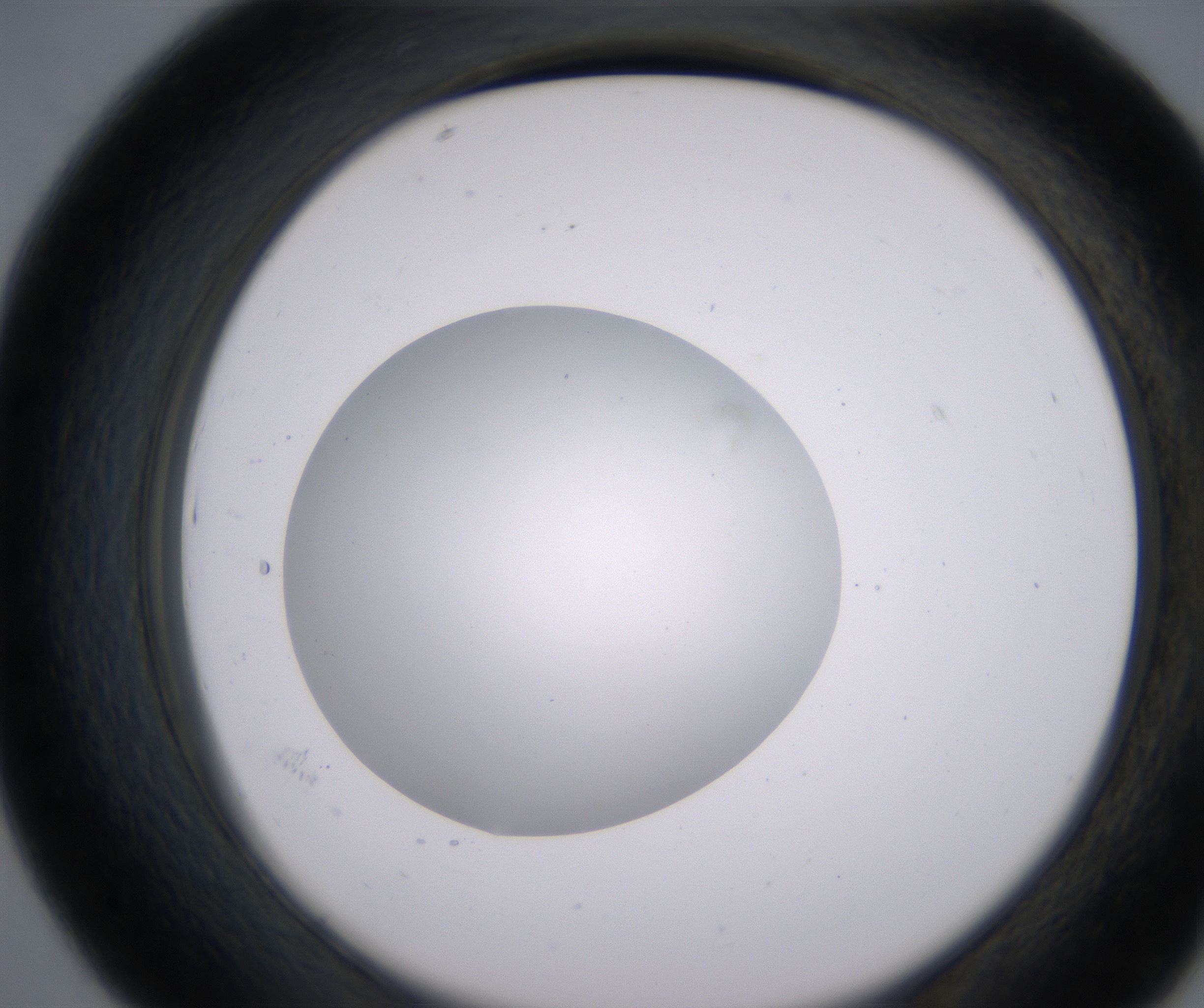 D7_HighResolution_Clear_2.jpg