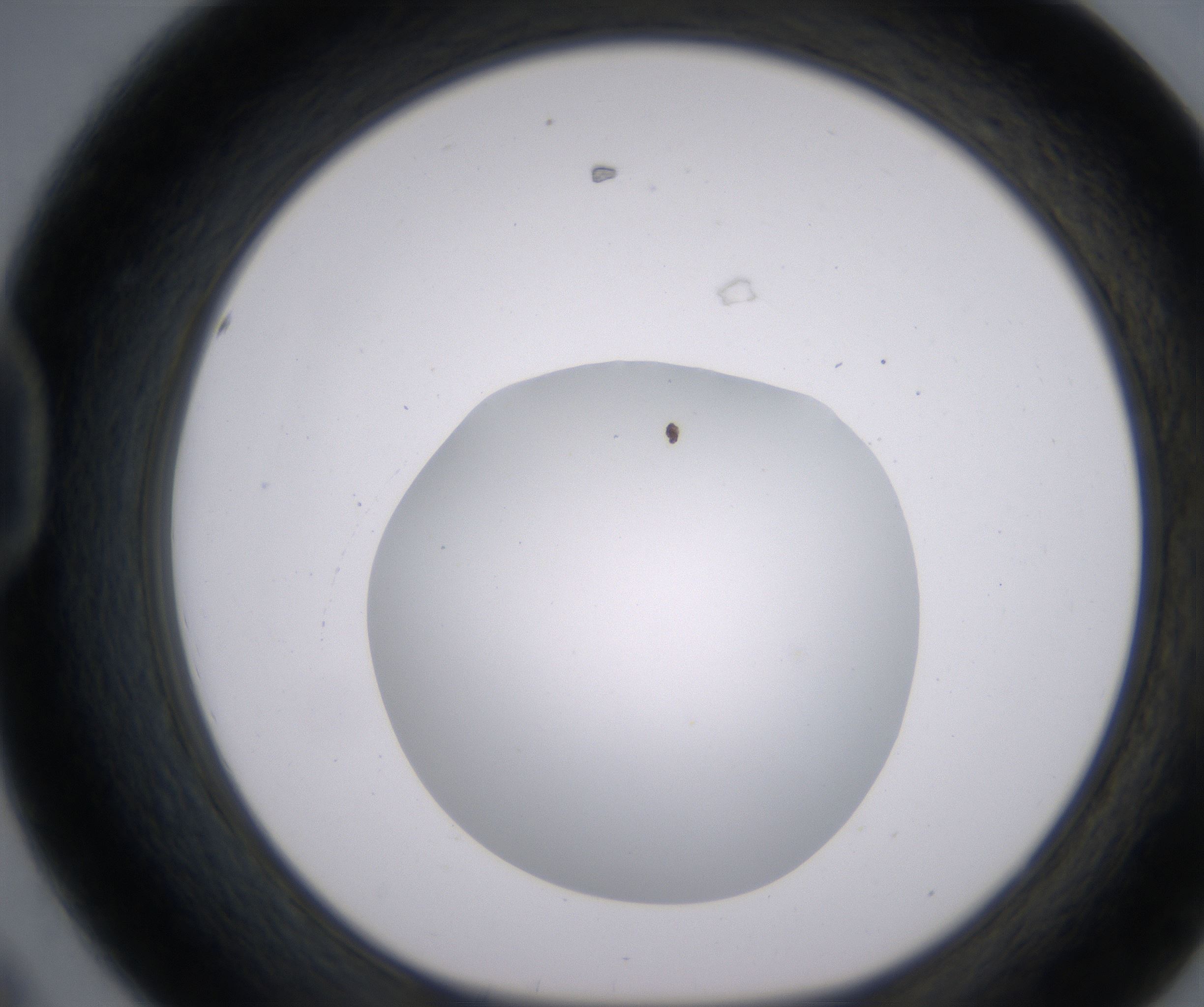 D8_HighResolution_Clear_1.jpg